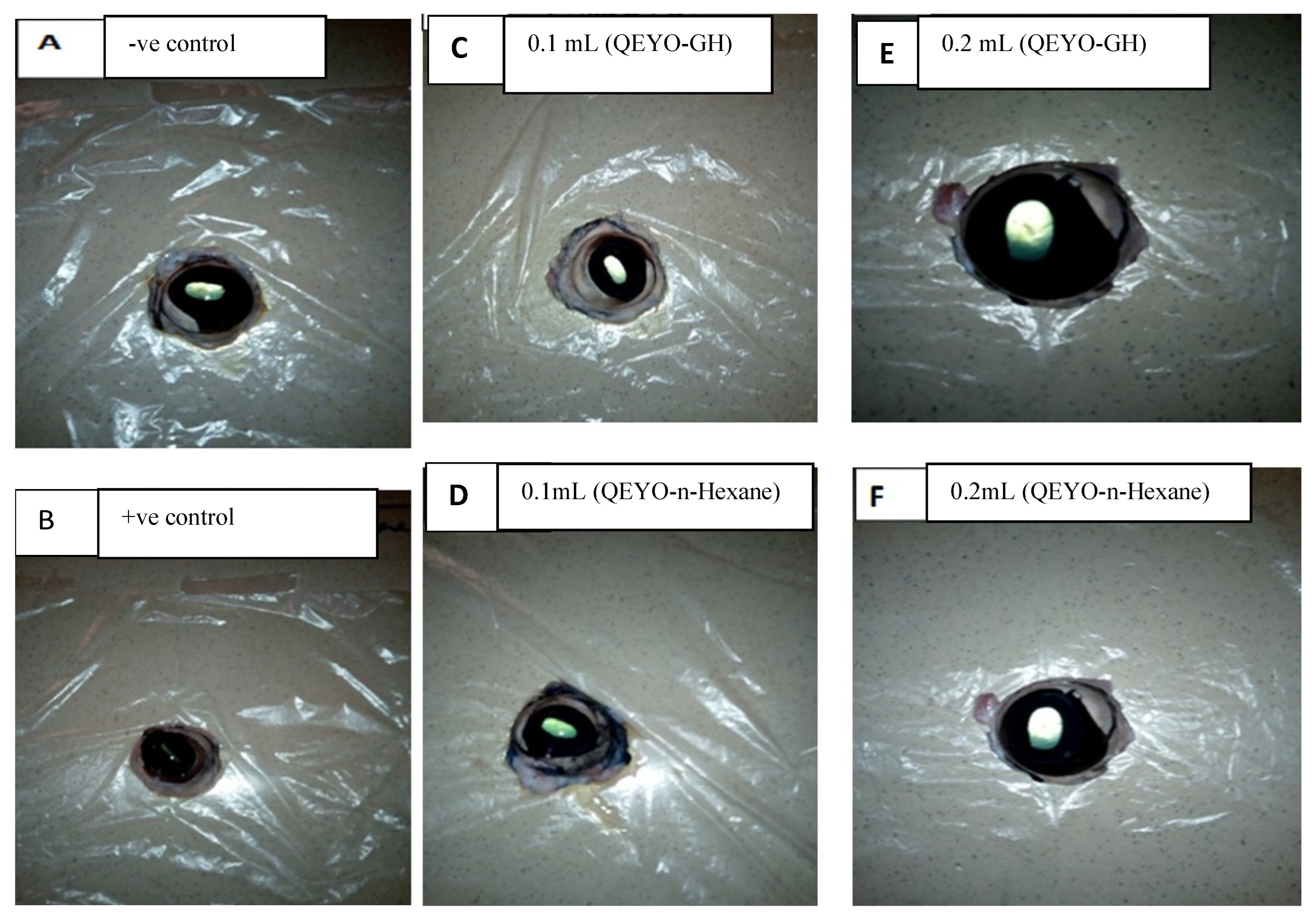 Biology 13 00270 g002