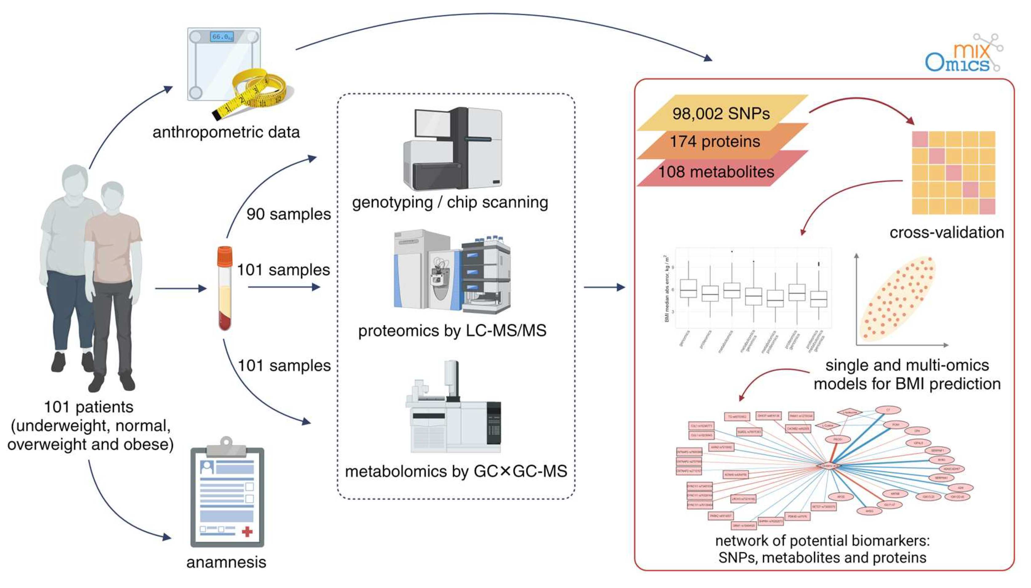 Biology 13 00272 g001