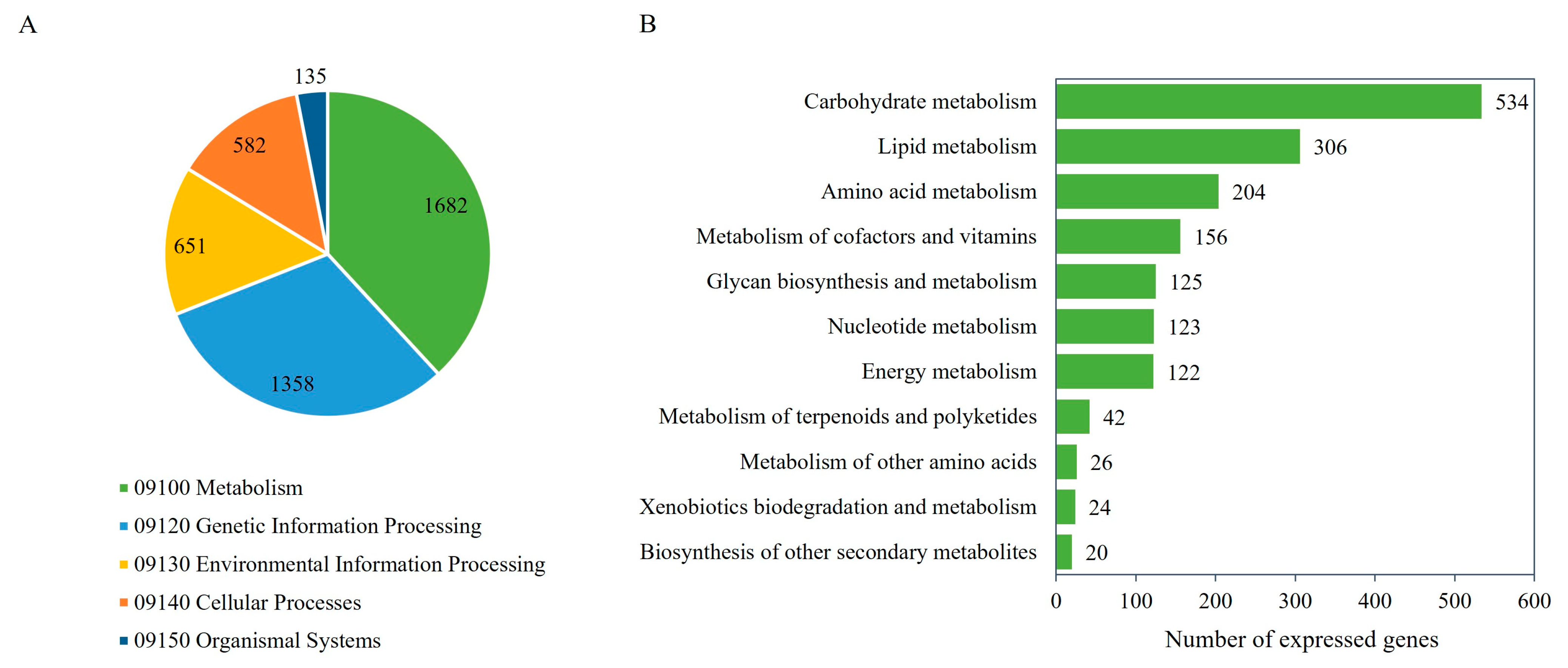 Biology 13 00276 g002 Biology 13 00276 g002