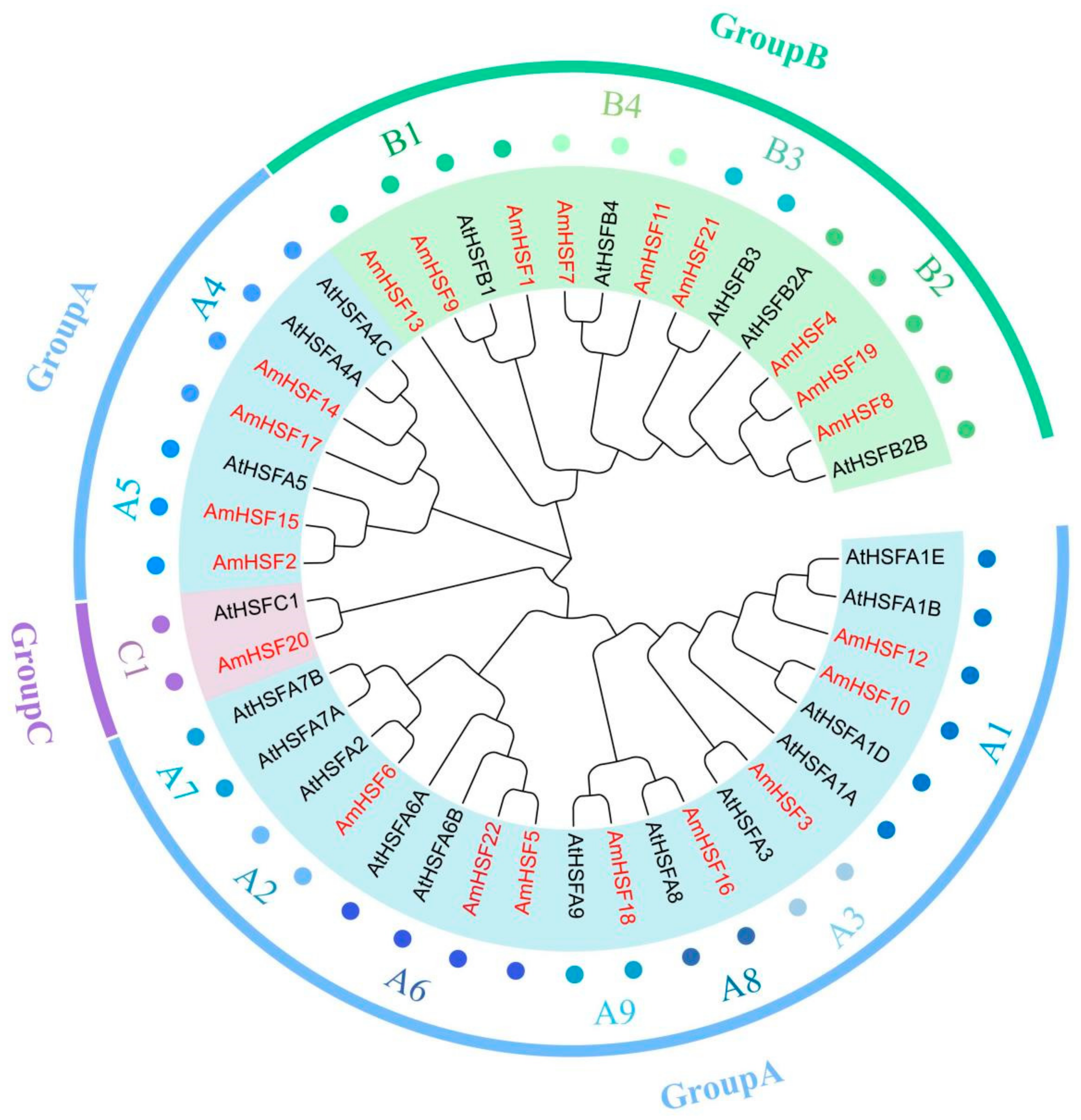 Biology 13 00280 g002