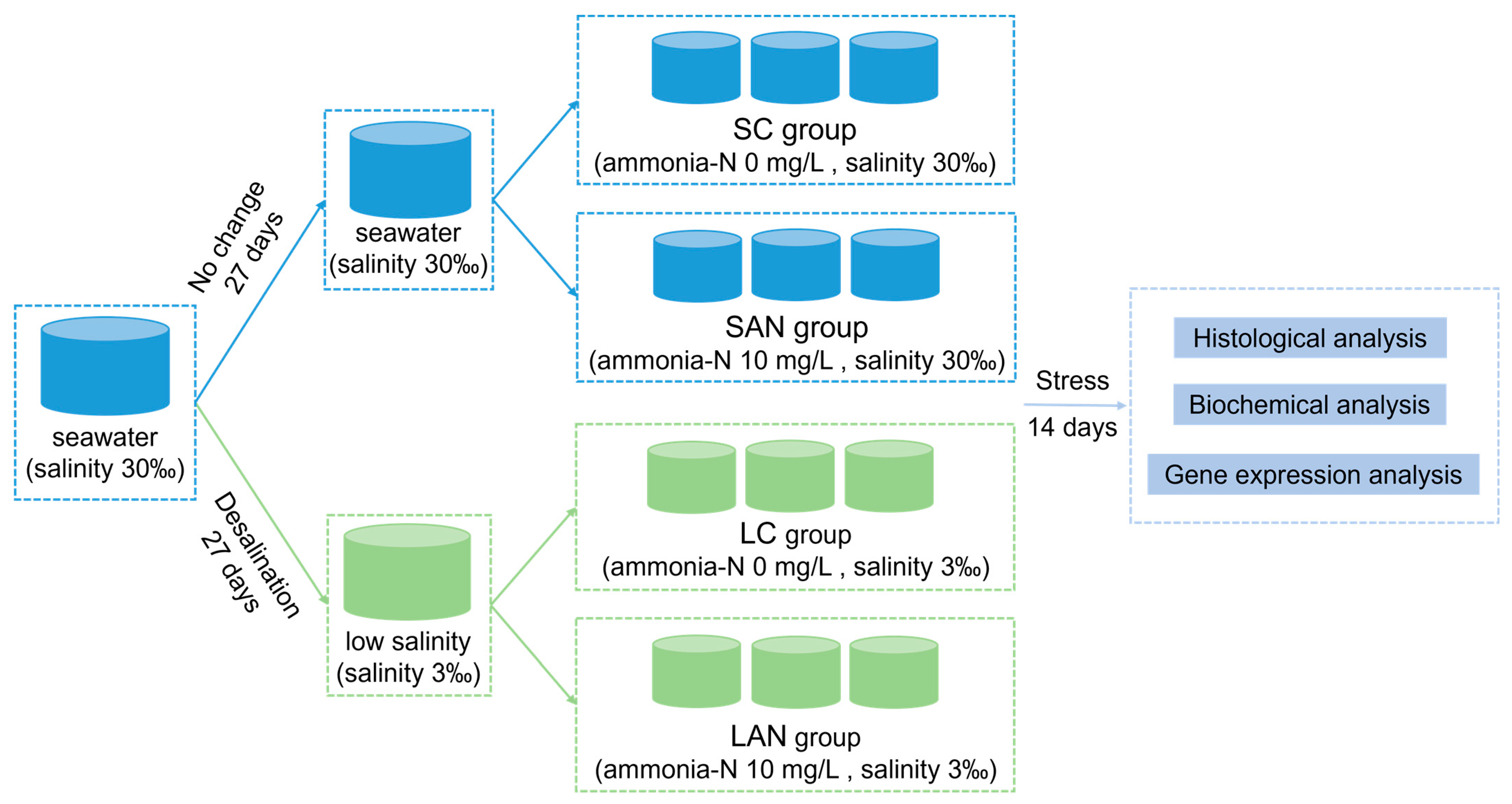 Biology 13 00281 g001