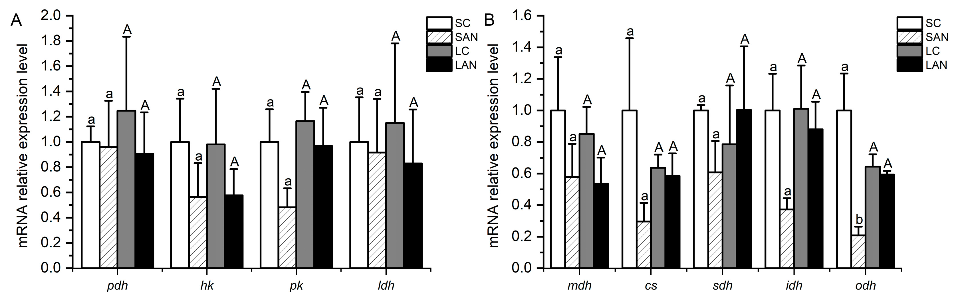 Biology 13 00281 g006