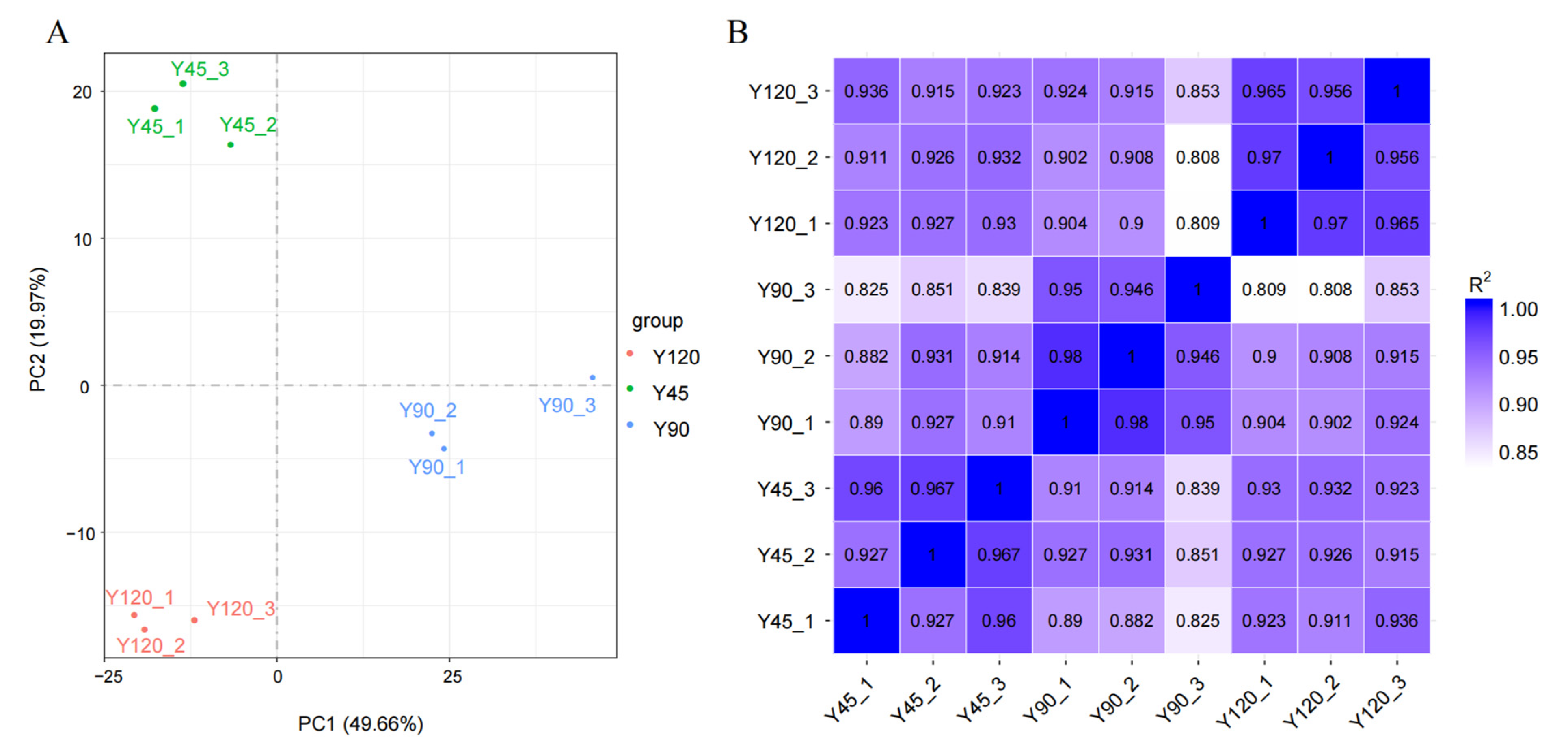 Biology 13 00283 g001