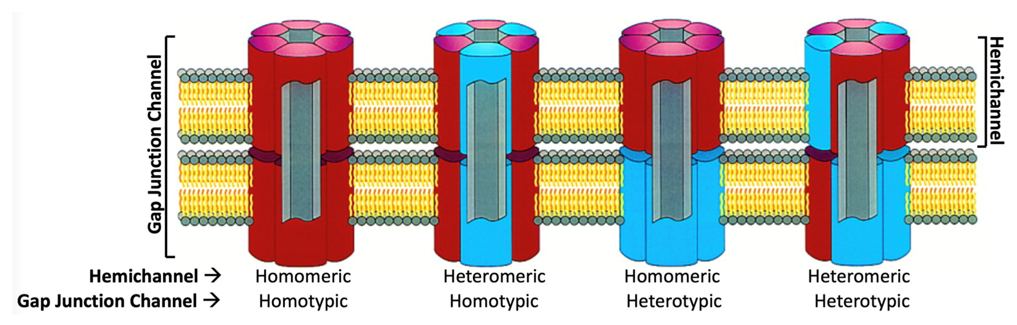 Biology 13 00298 g002 Biology 13 00298 g002