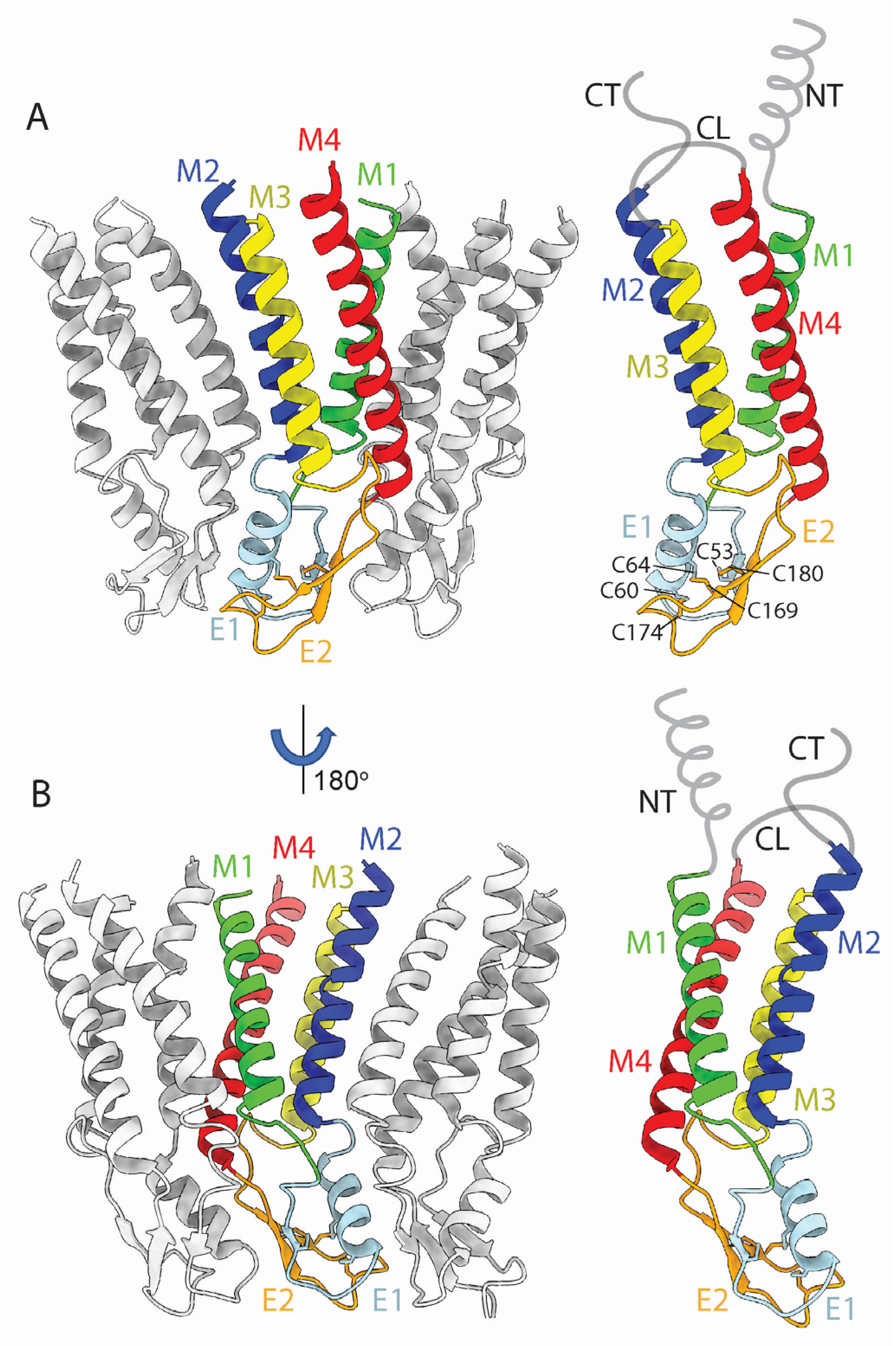 Biology 13 00298 g003 Biology 13 00298 g003