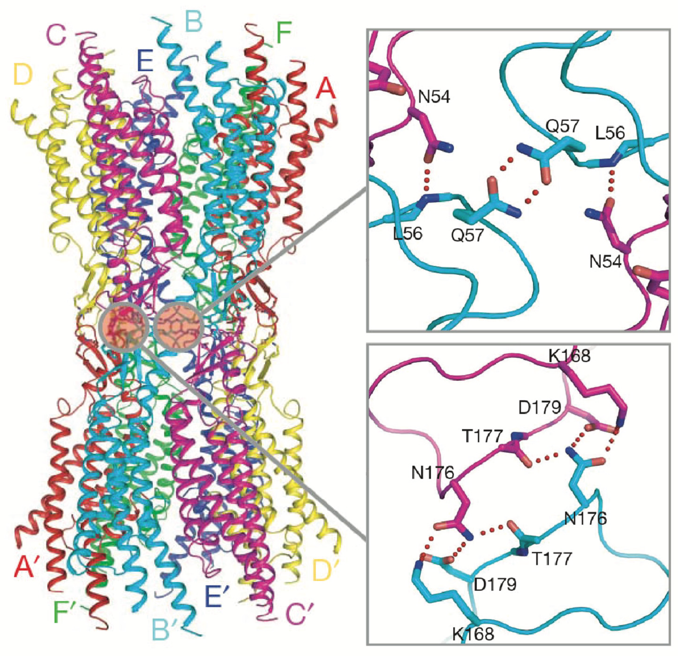 Biology 13 00298 g004 Biology 13 00298 g004