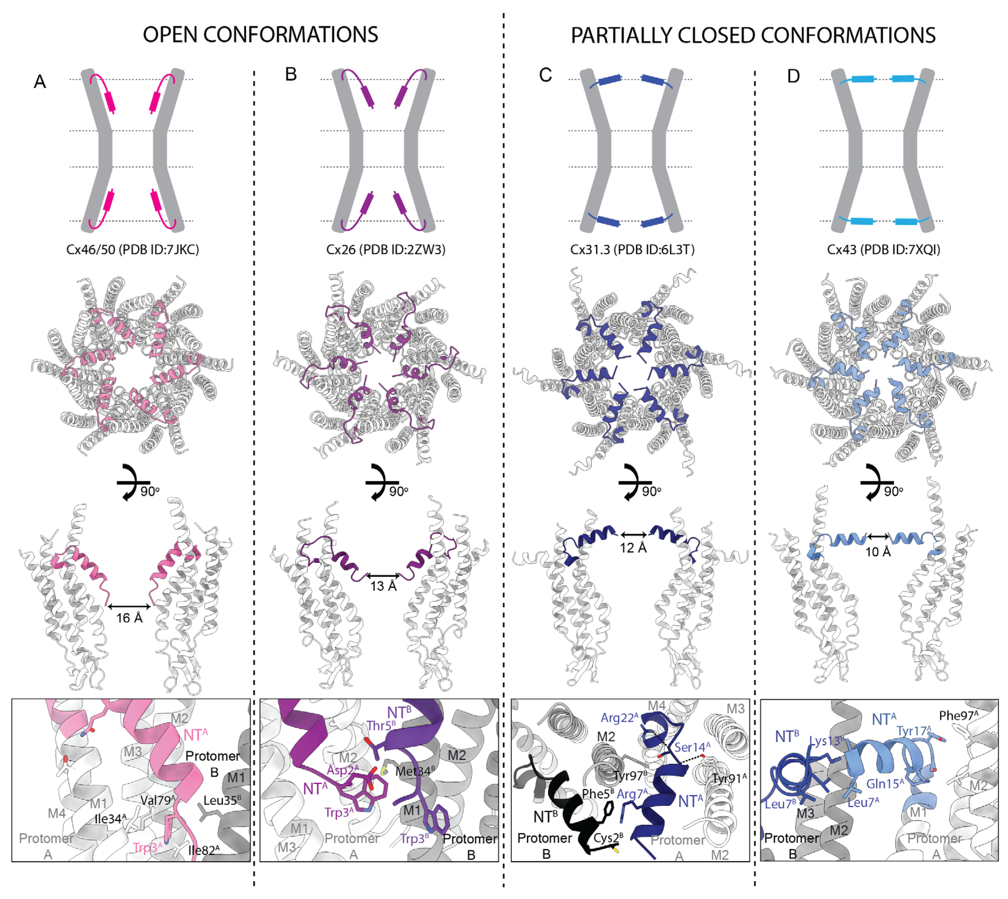 Biology 13 00298 g007 Biology 13 00298 g007