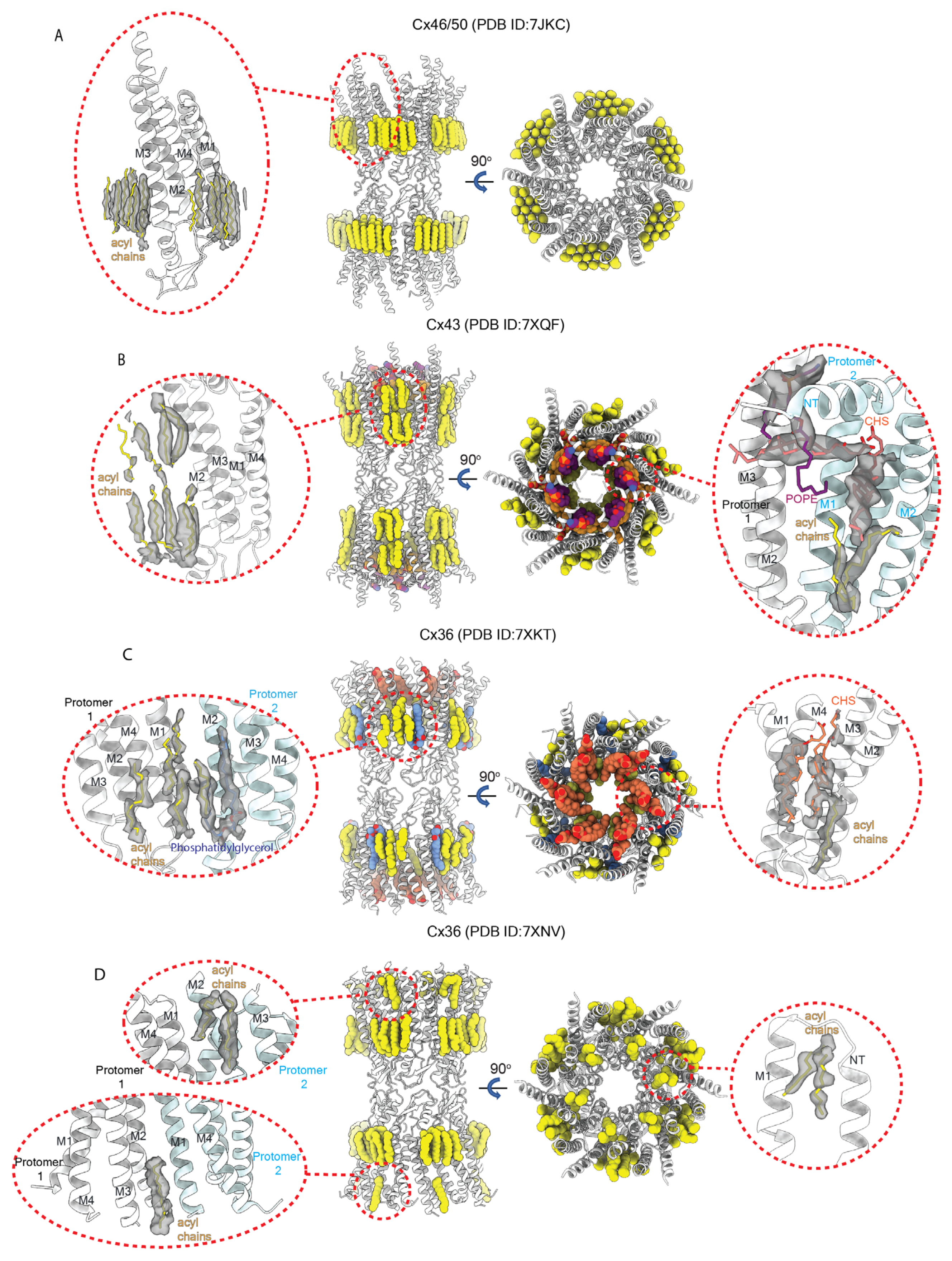 Biology 13 00298 g008 Biology 13 00298 g008