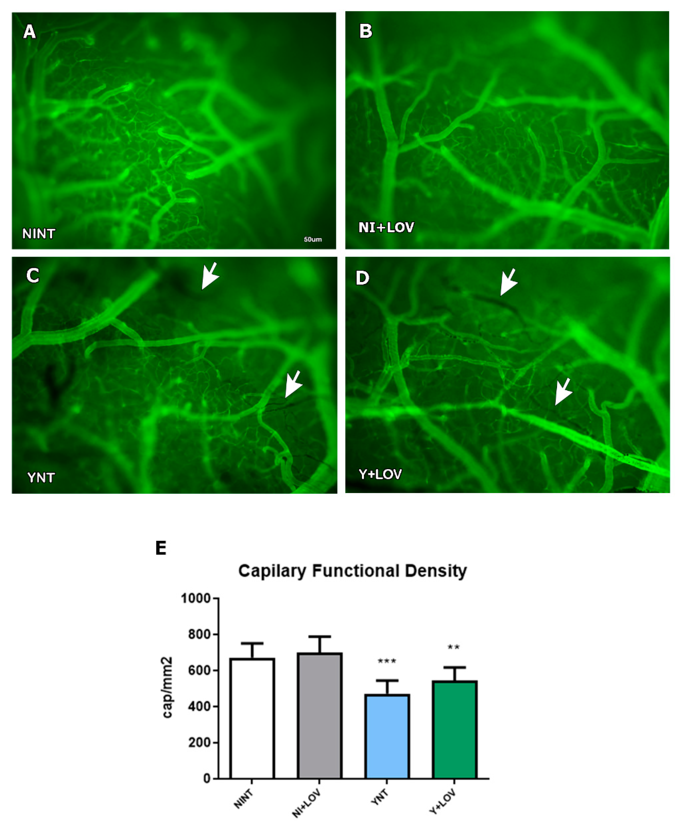 Biology 13 00301 g002 Biology 13 00301 g002