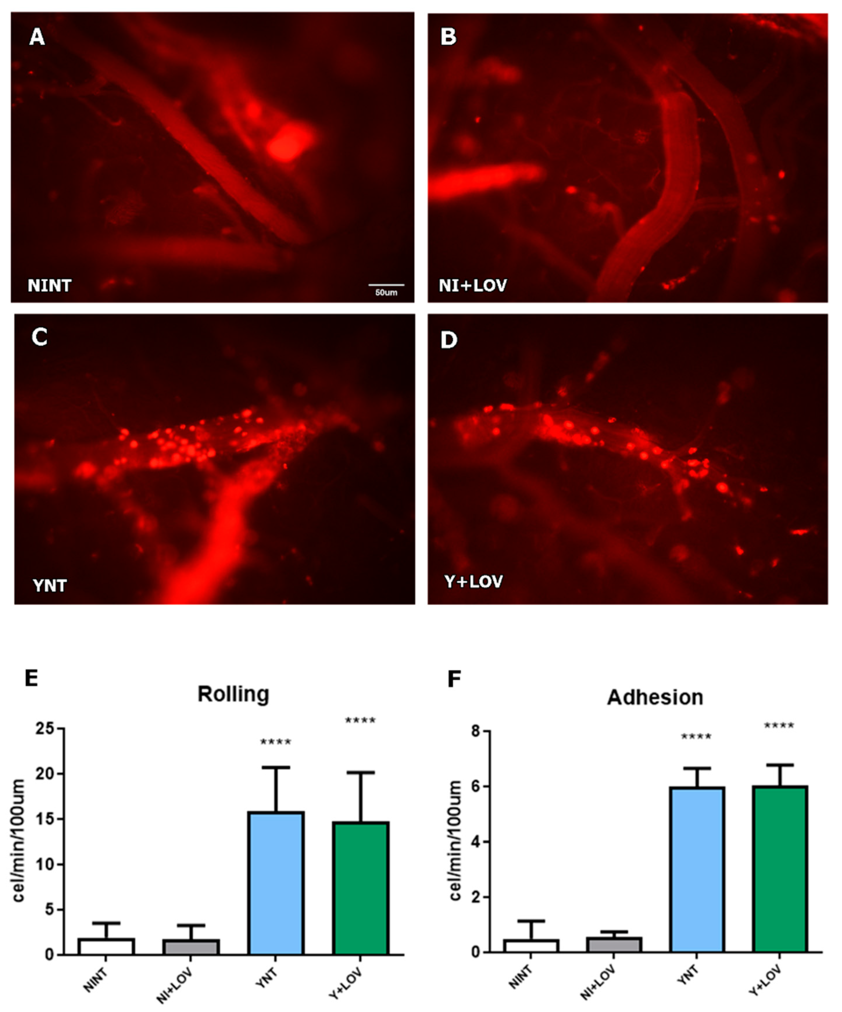Biology 13 00301 g003 Biology 13 00301 g003
