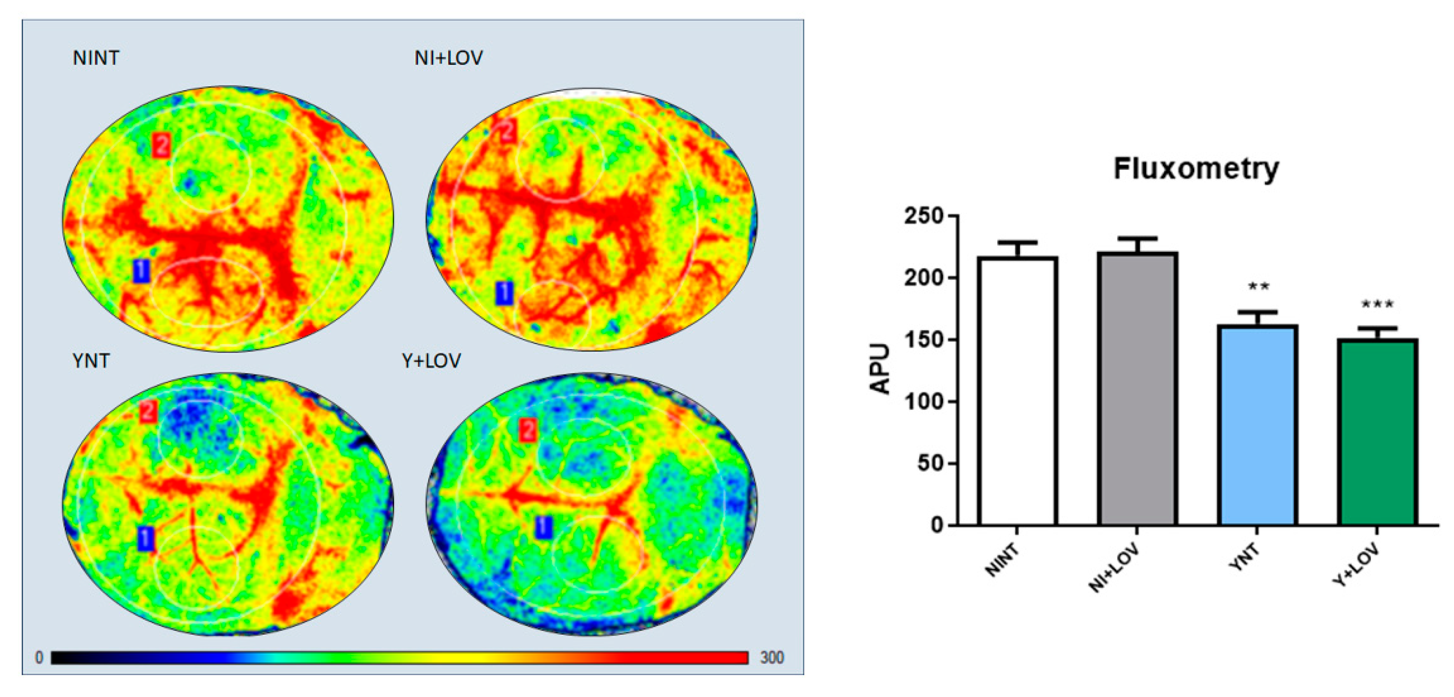 Biology 13 00301 g004 Biology 13 00301 g004