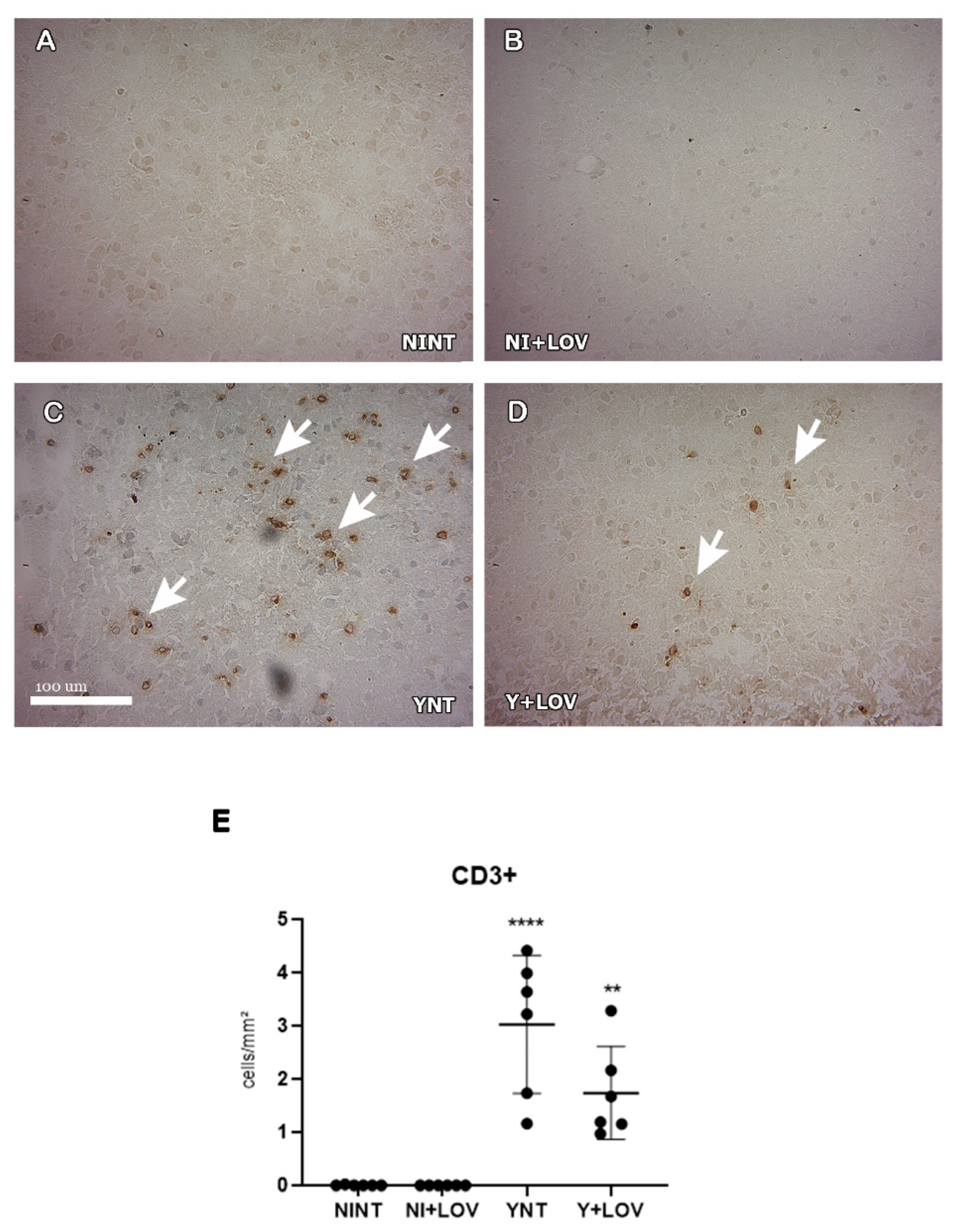 Biology 13 00301 g005 Biology 13 00301 g005