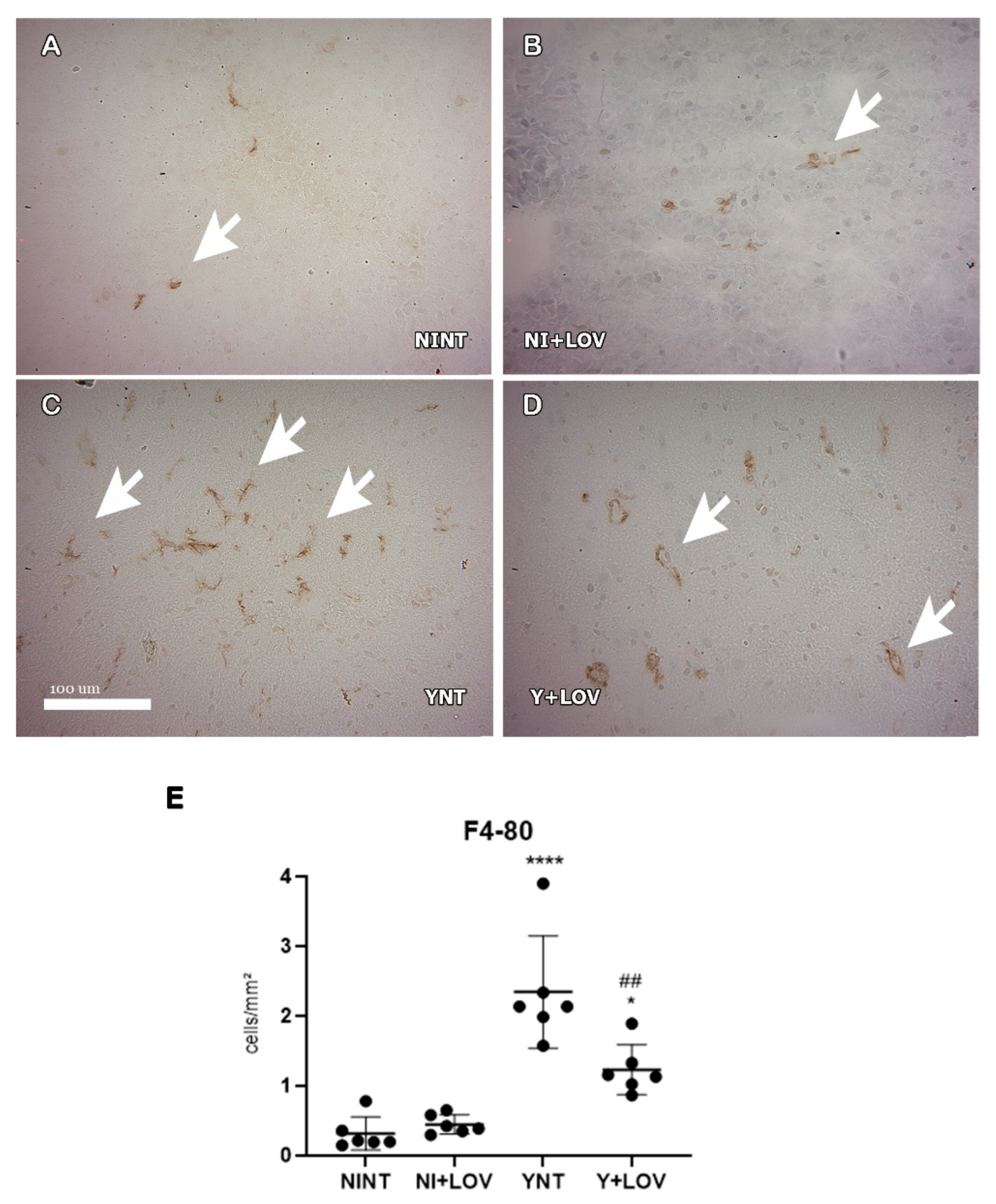 Biology 13 00301 g006 Biology 13 00301 g006
