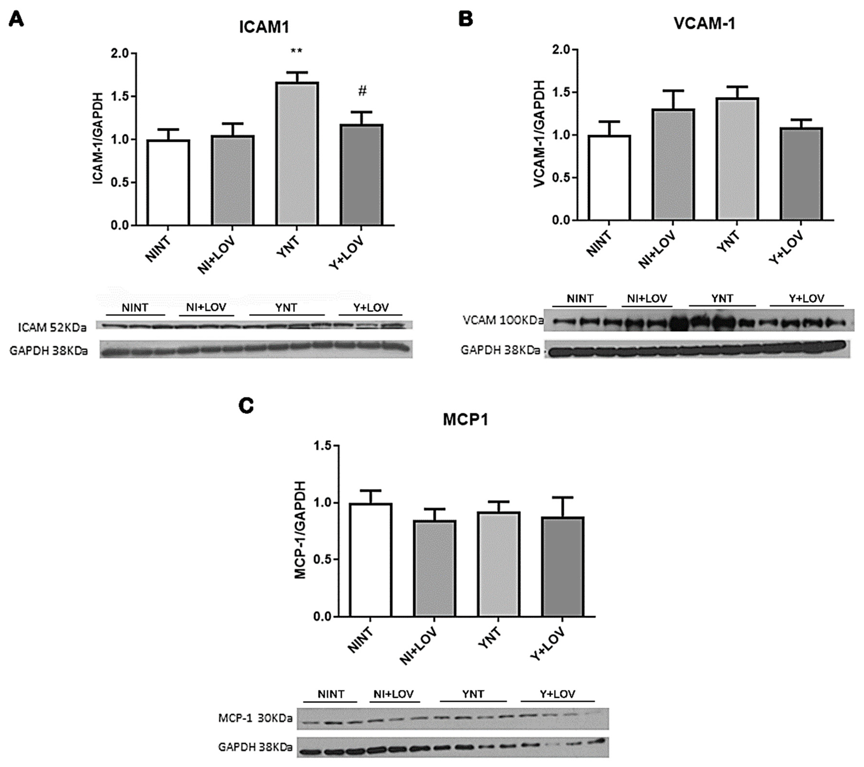Biology 13 00301 g007 Biology 13 00301 g007