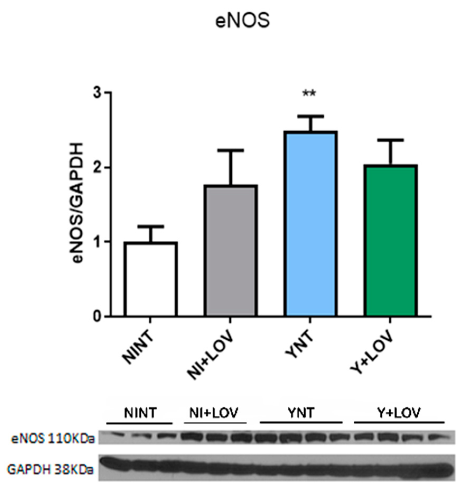 Biology 13 00301 g008 Biology 13 00301 g008