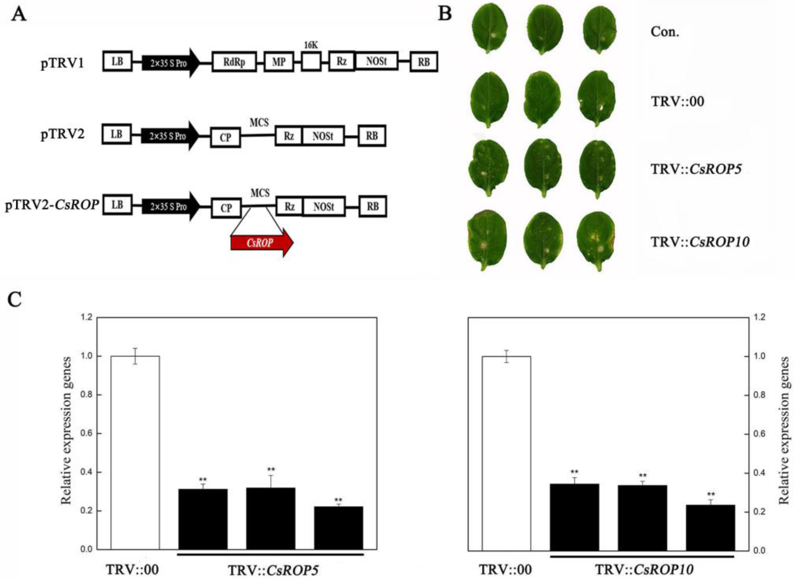 Biology 13 00308 g002
