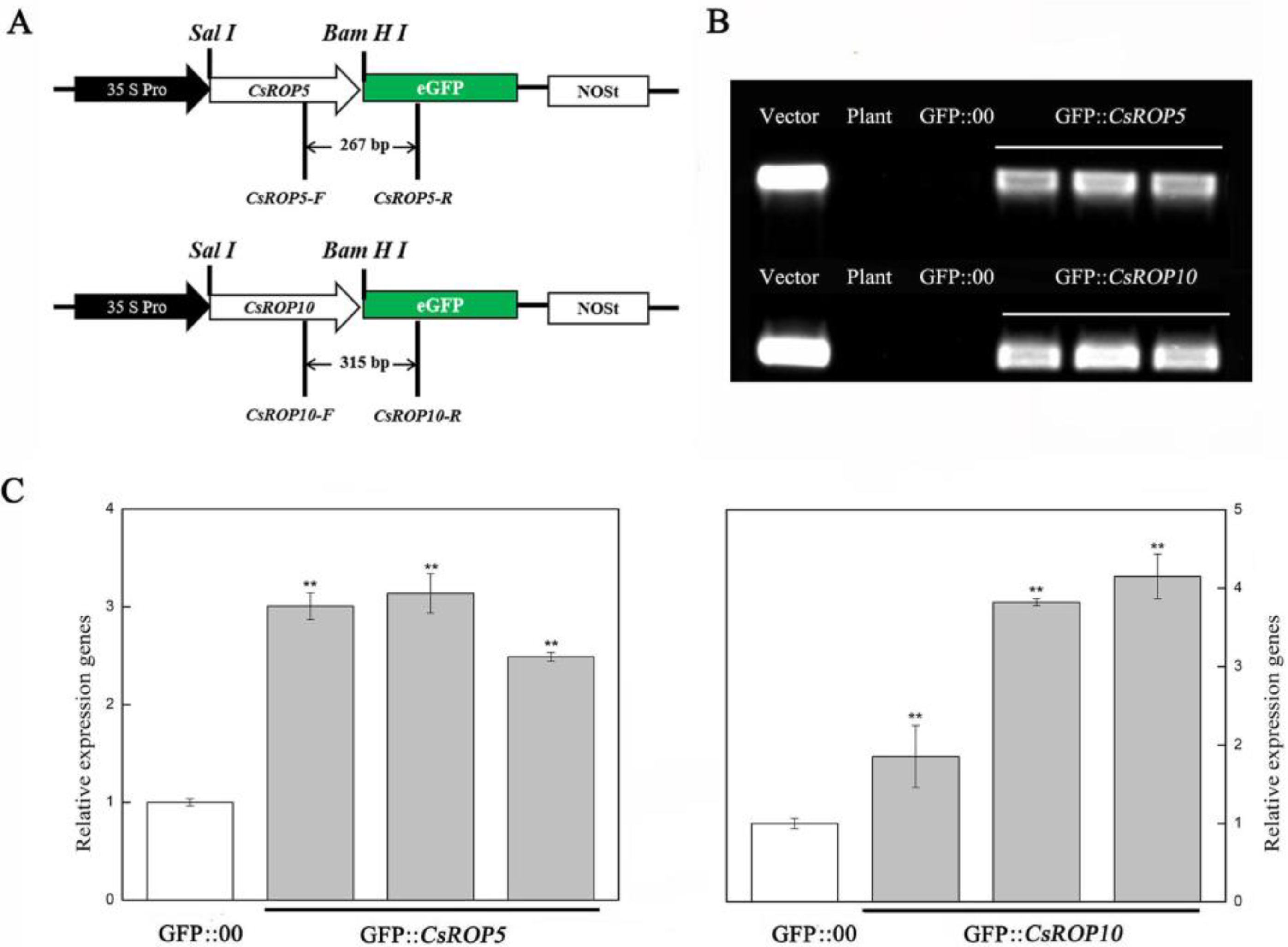 Biology 13 00308 g004