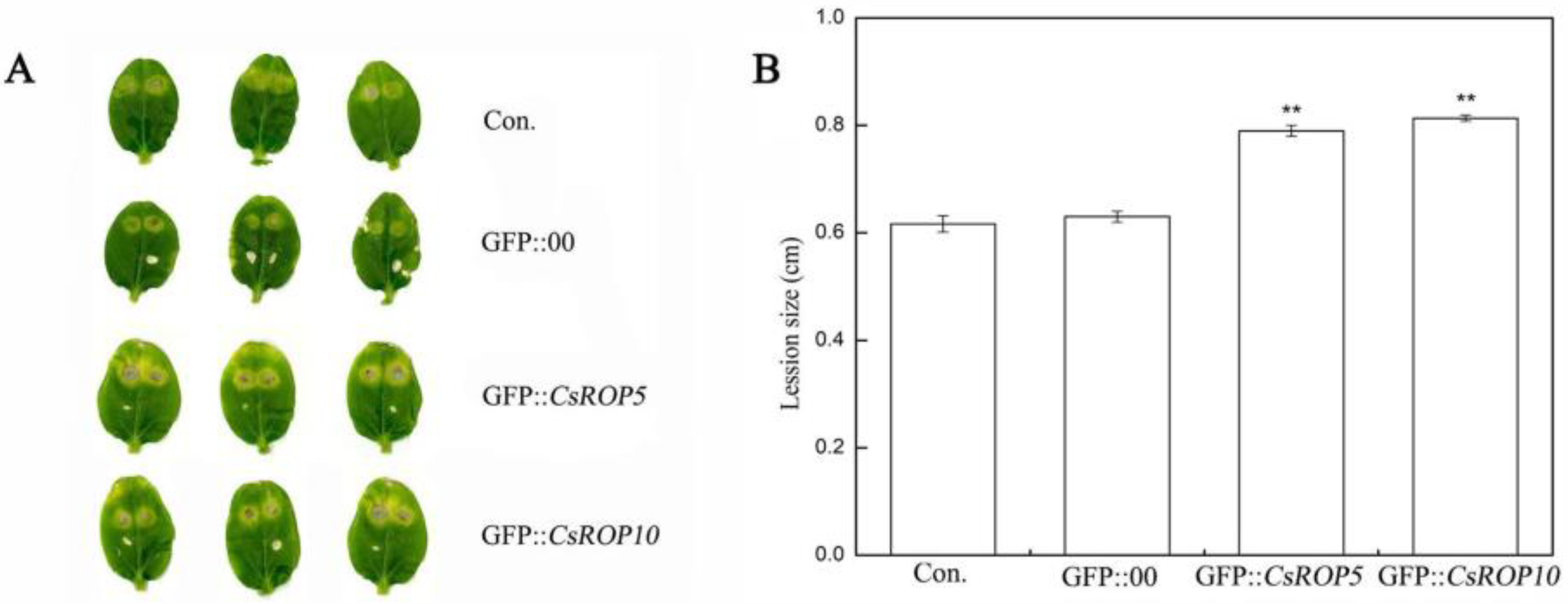 Biology 13 00308 g005