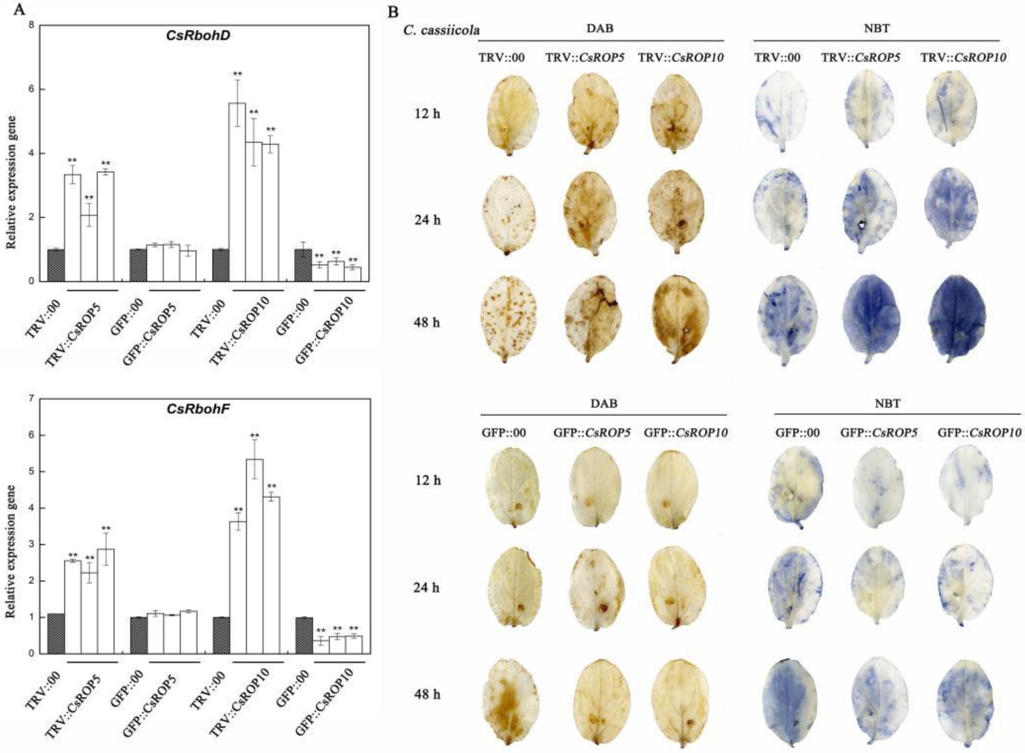 Biology 13 00308 g007