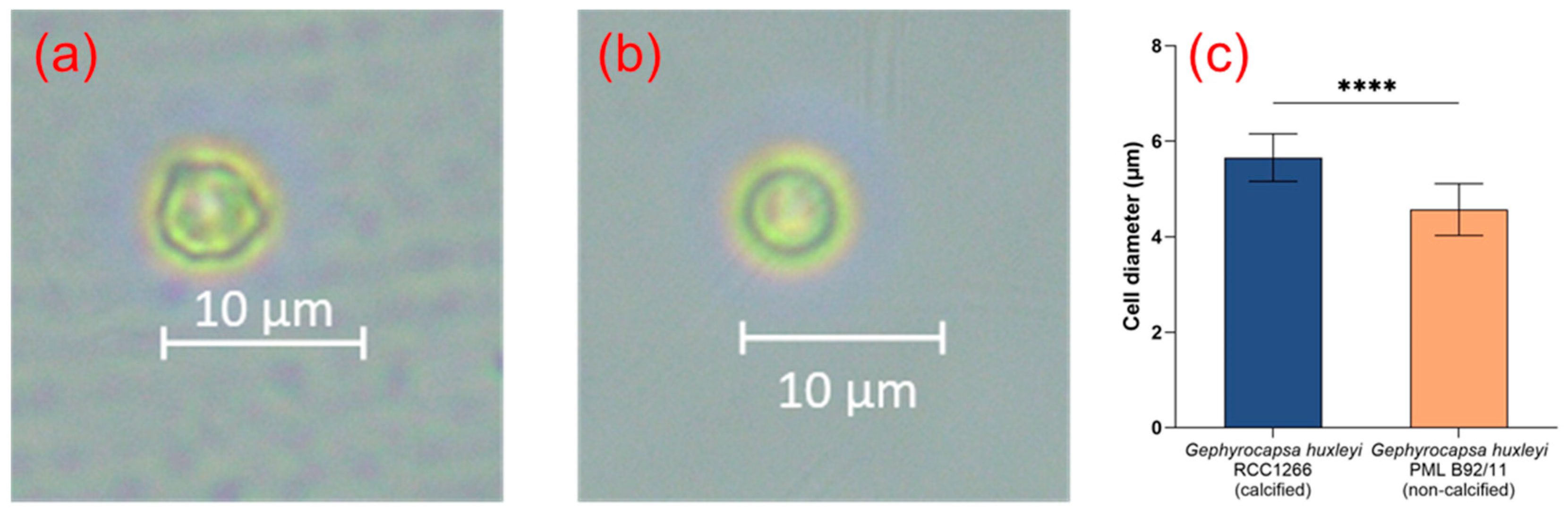 Biology 13 00310 g001 Biology 13 00310 g001
