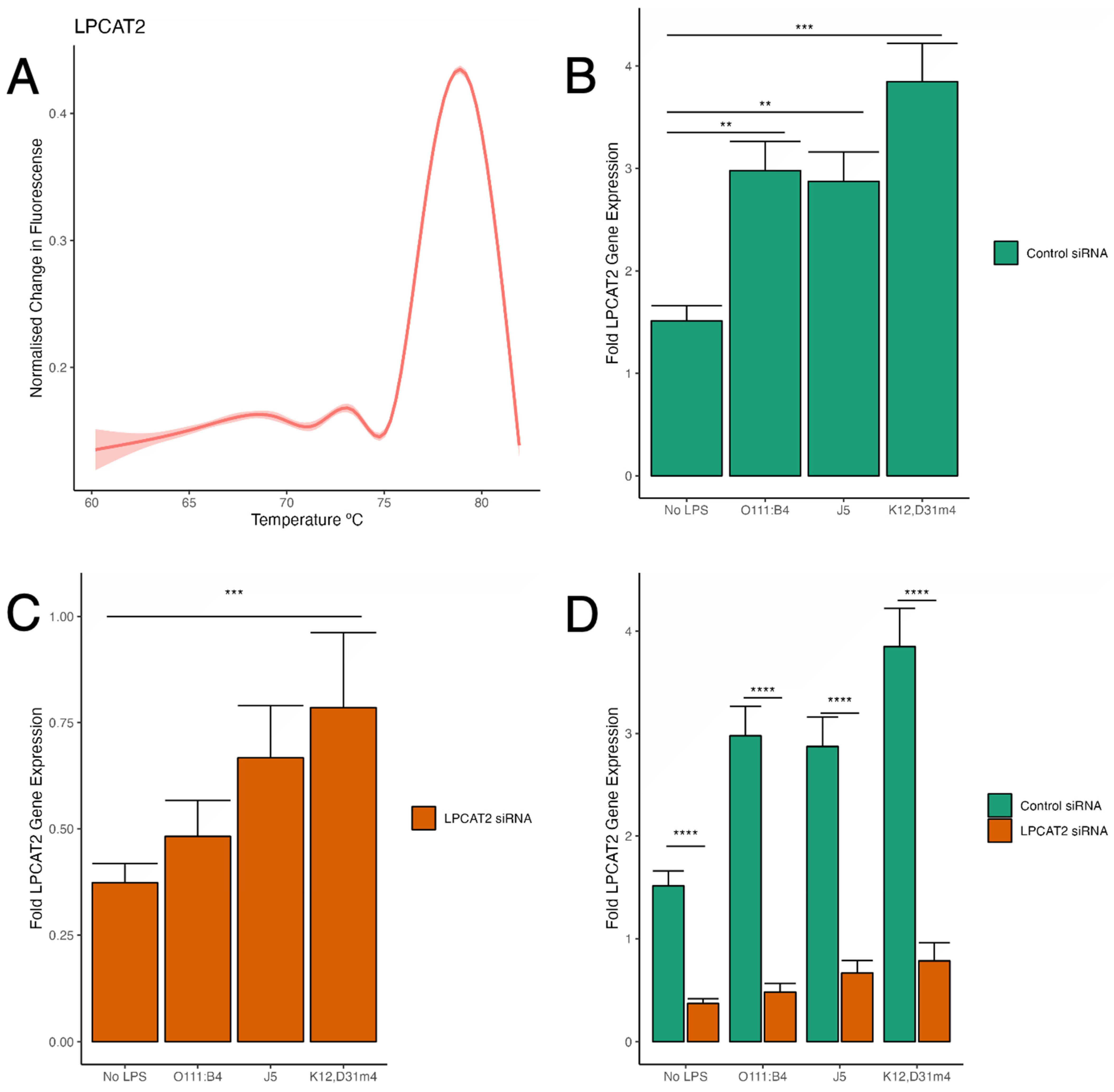 Biology 13 00314 g002 Biology 13 00314 g002