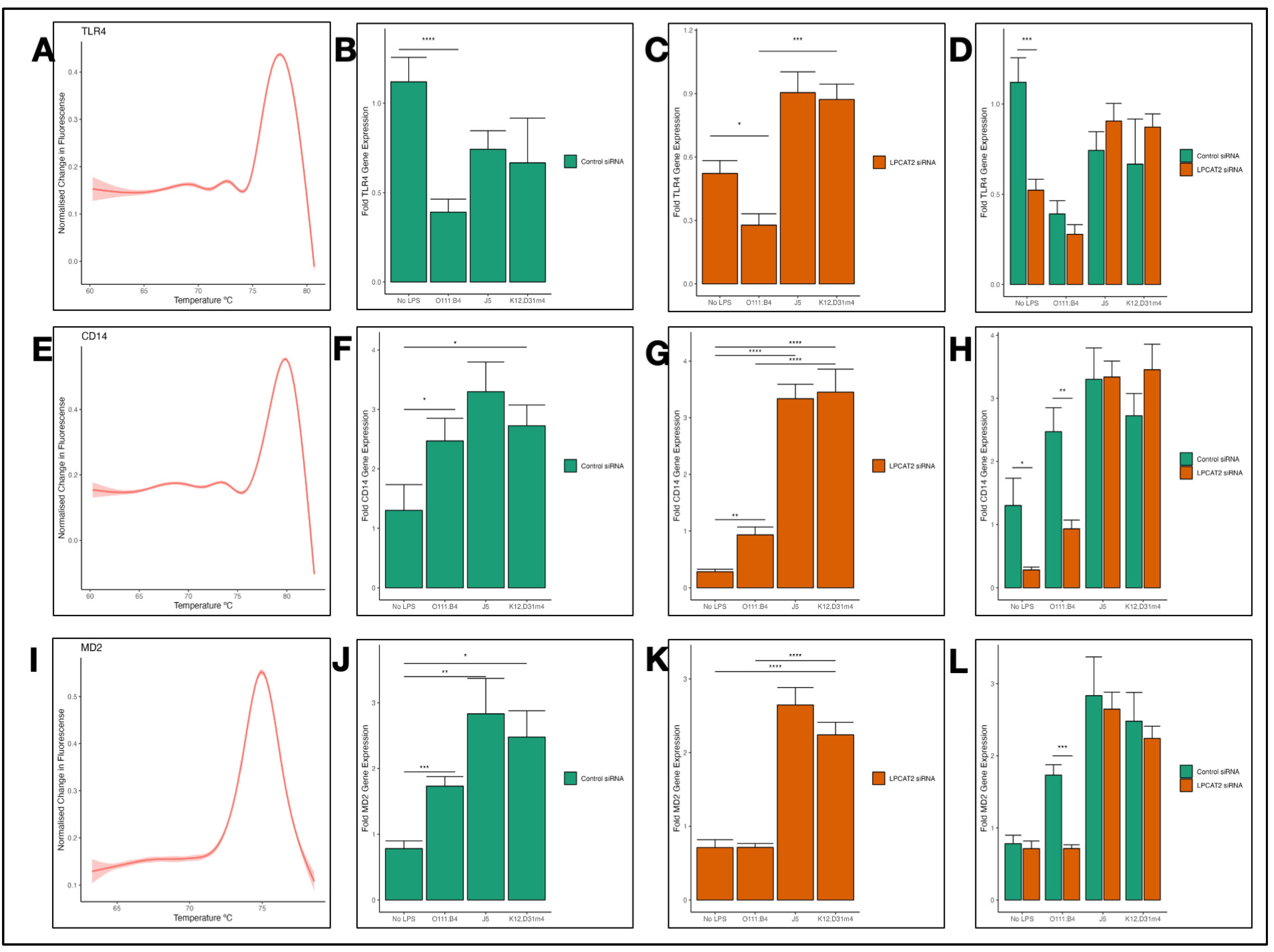 Biology 13 00314 g003 Biology 13 00314 g003