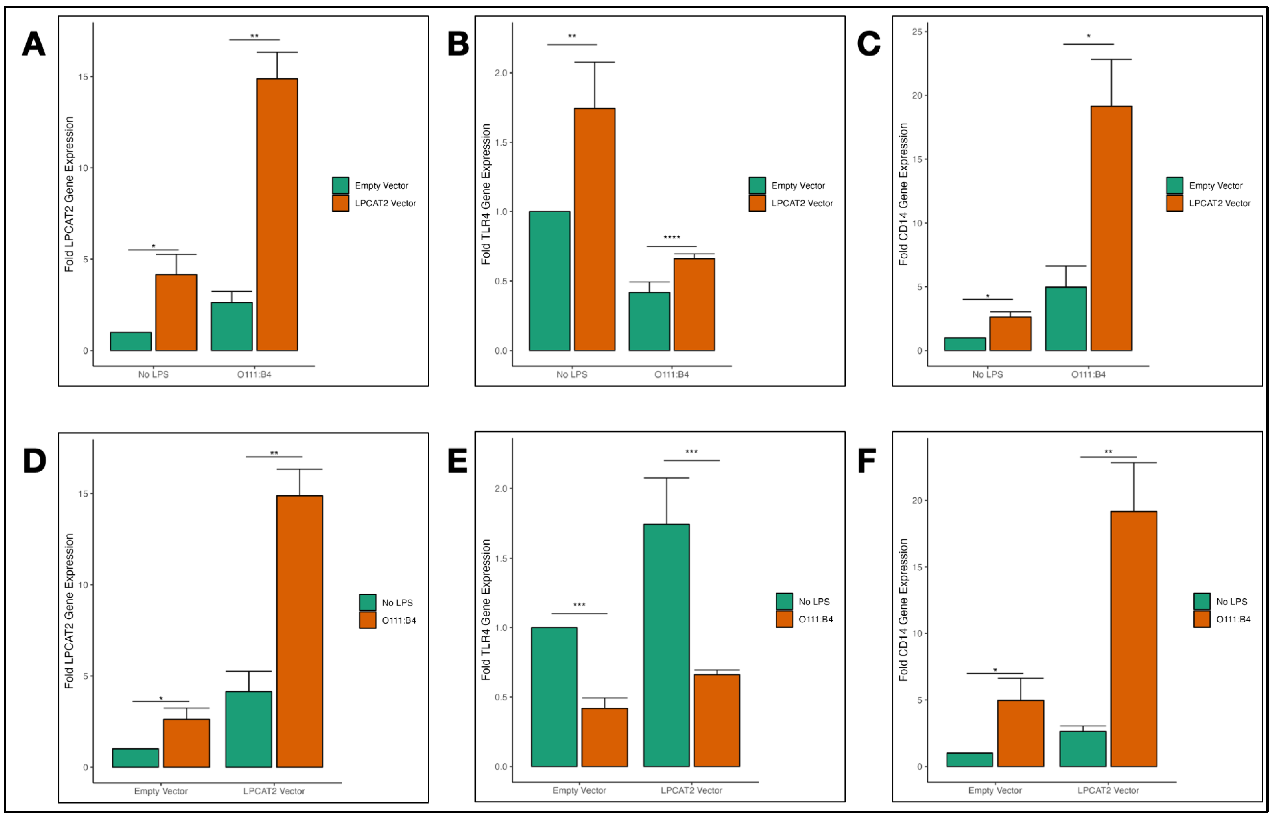 Biology 13 00314 g004 Biology 13 00314 g004