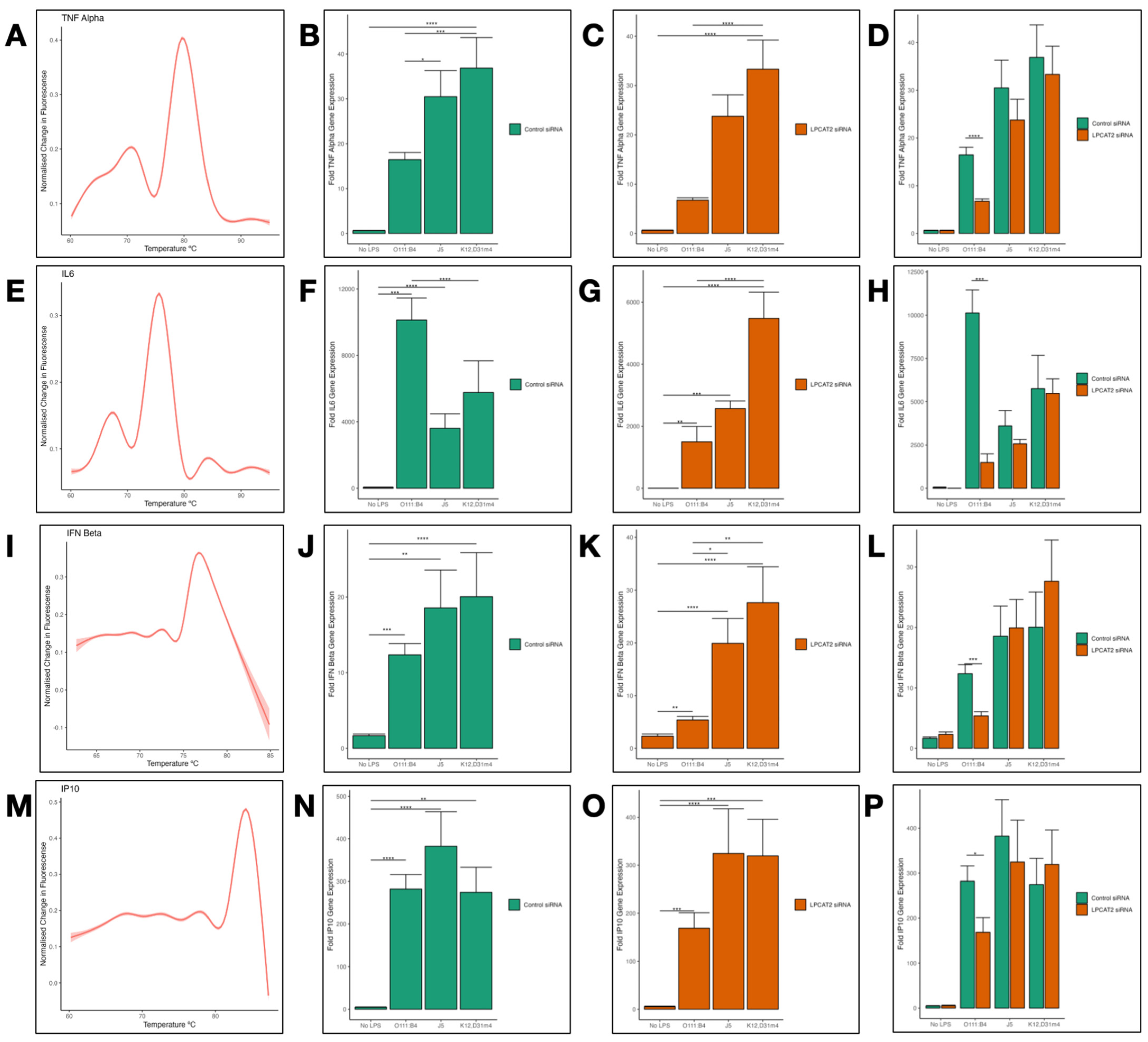 Biology 13 00314 g005 Biology 13 00314 g005