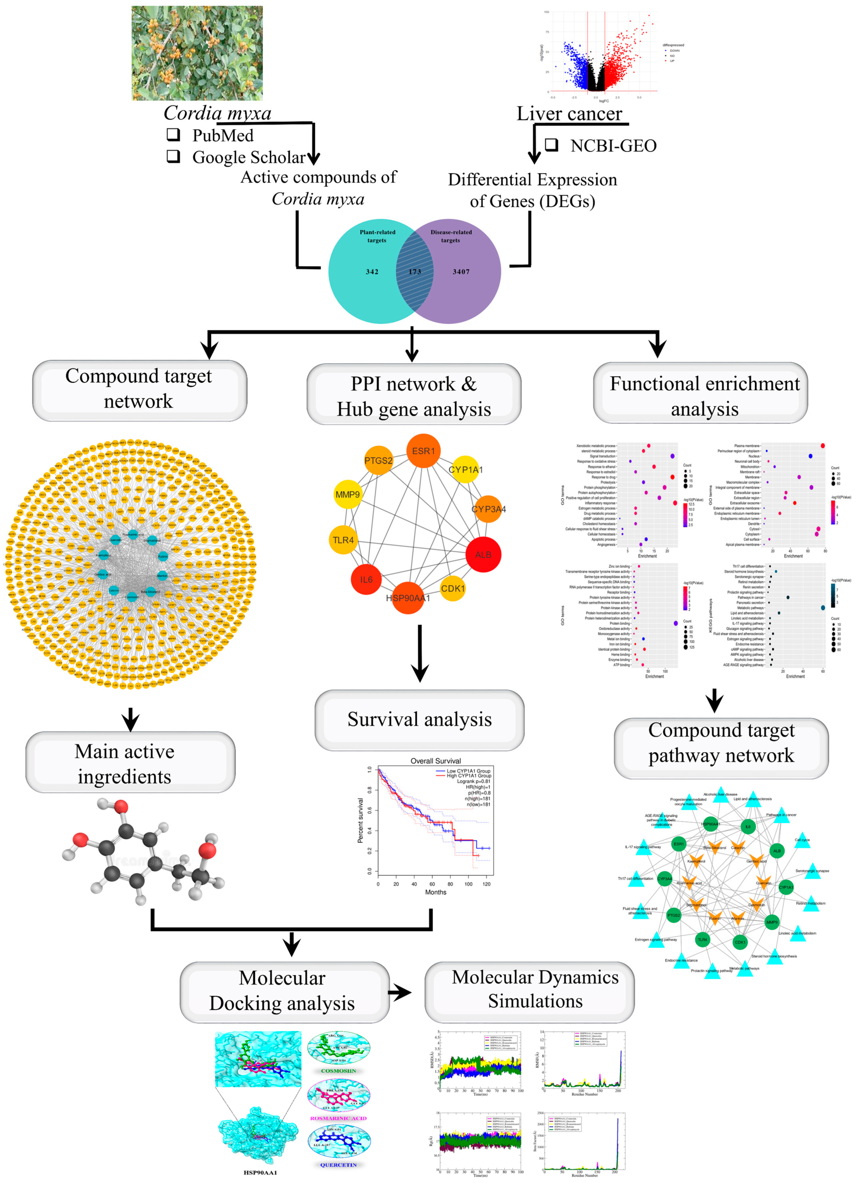 Biology 13 00315 g001