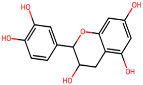 Biology 13 00315 i003