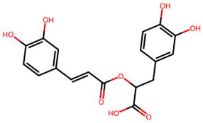 Biology 13 00315 i008
