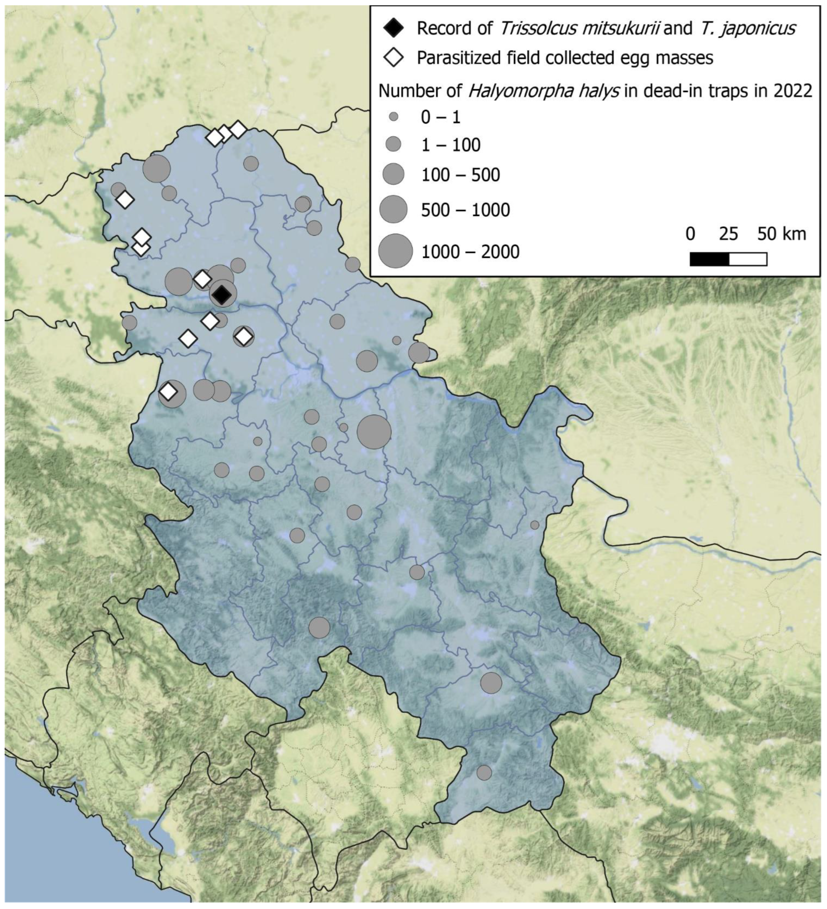 Biology 13 00316 g001