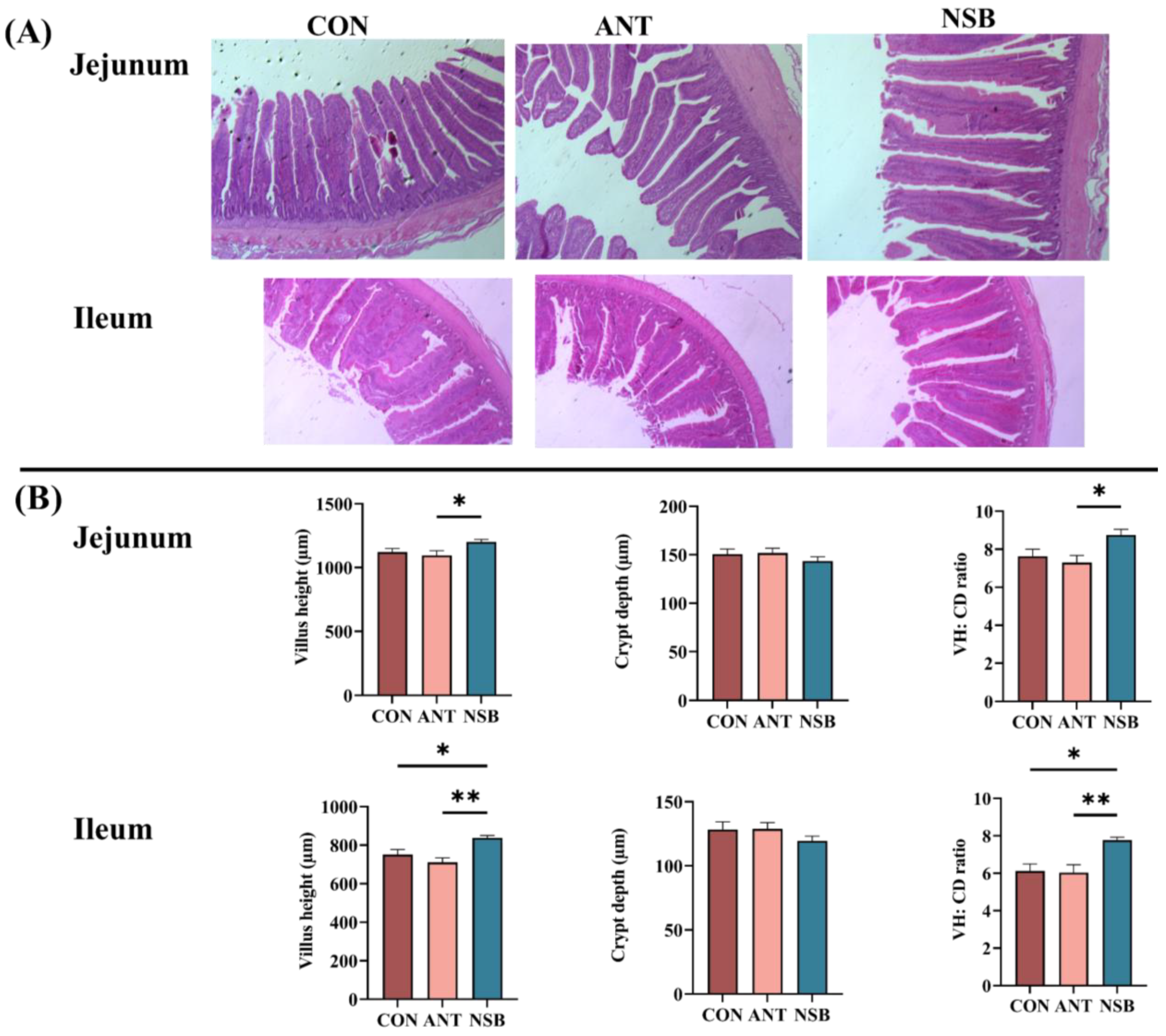 Biology 13 00317 g002