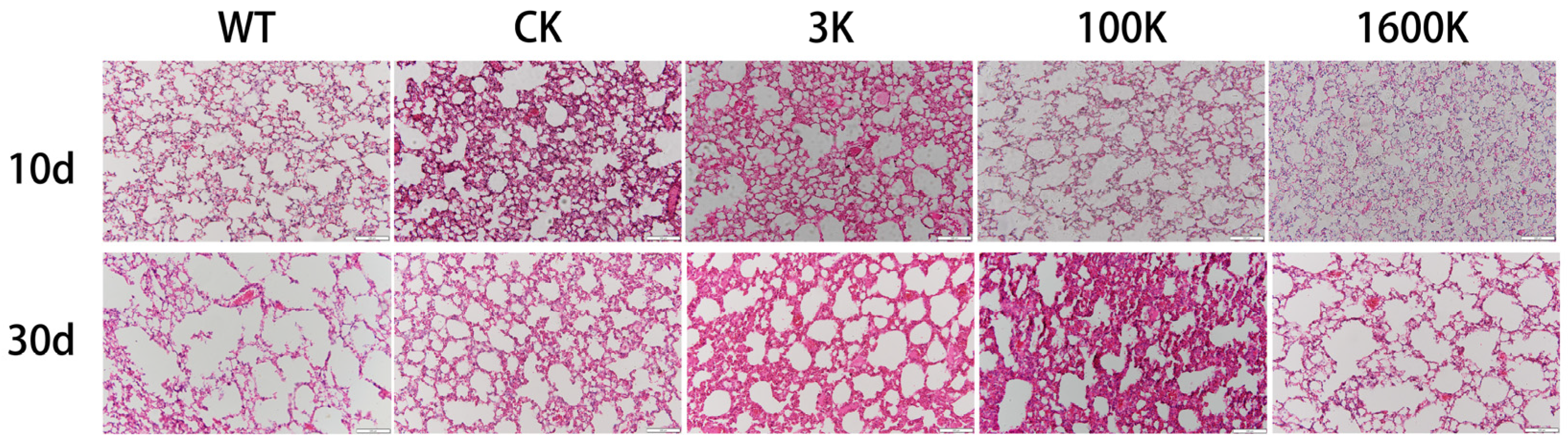 Biology 13 00319 g002