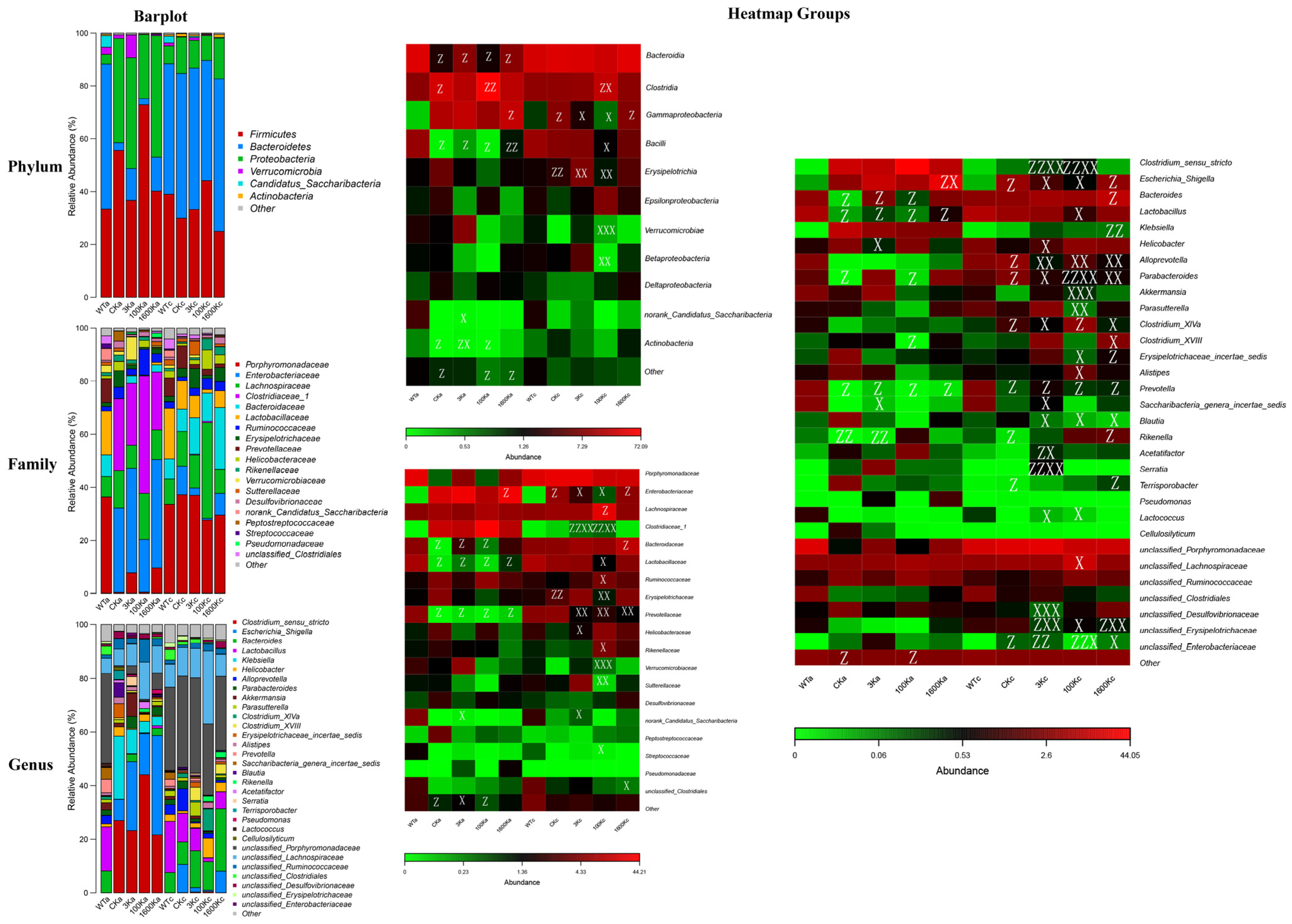 Biology 13 00319 g005