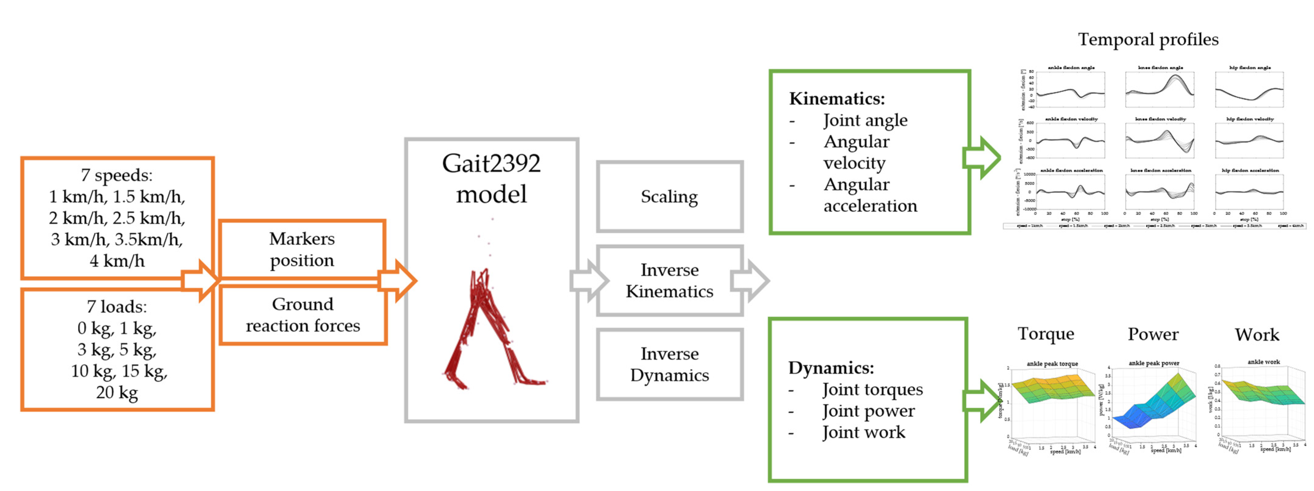 Biology 13 00321 g001