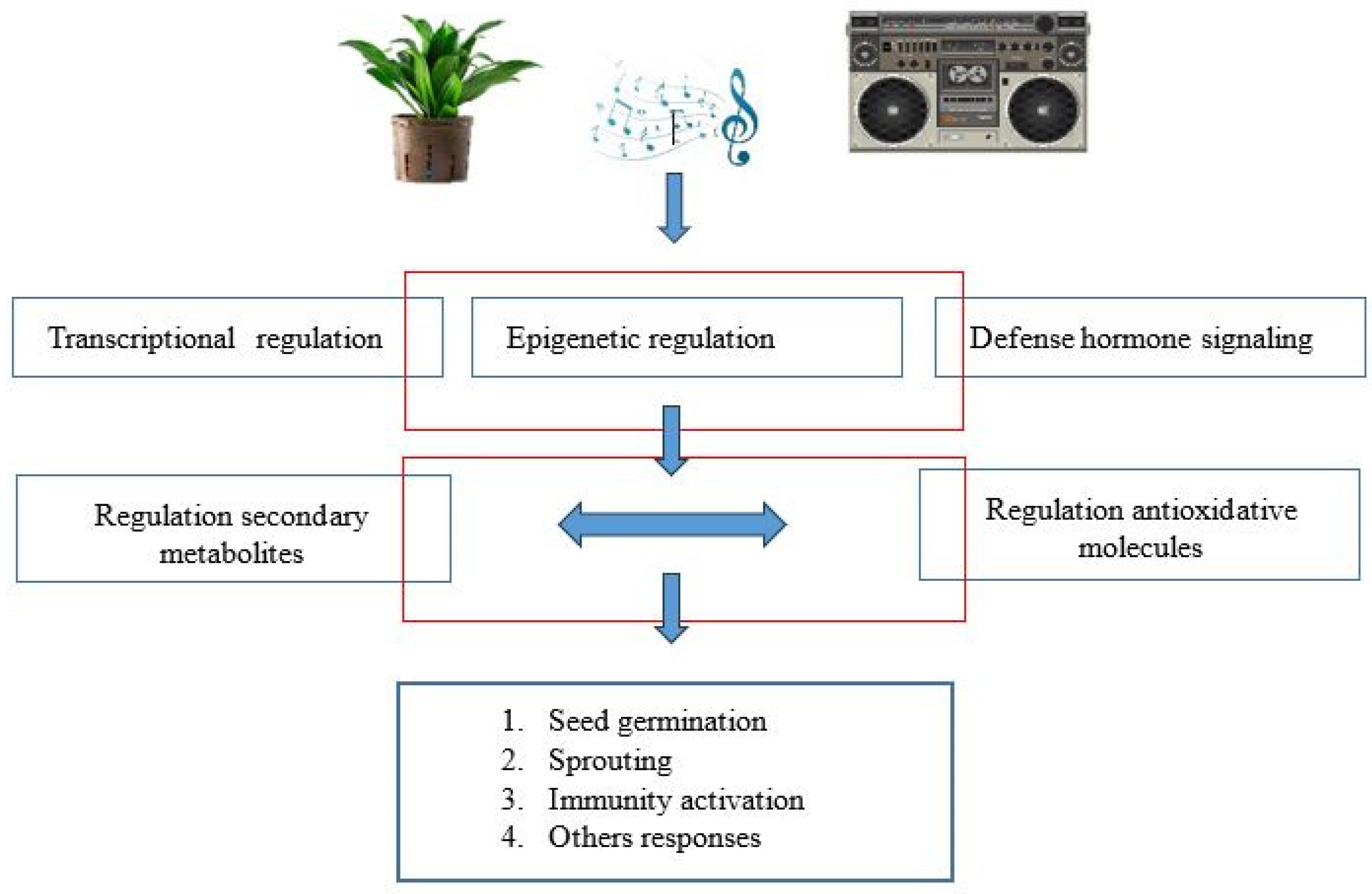 Biology 13 00326 g002