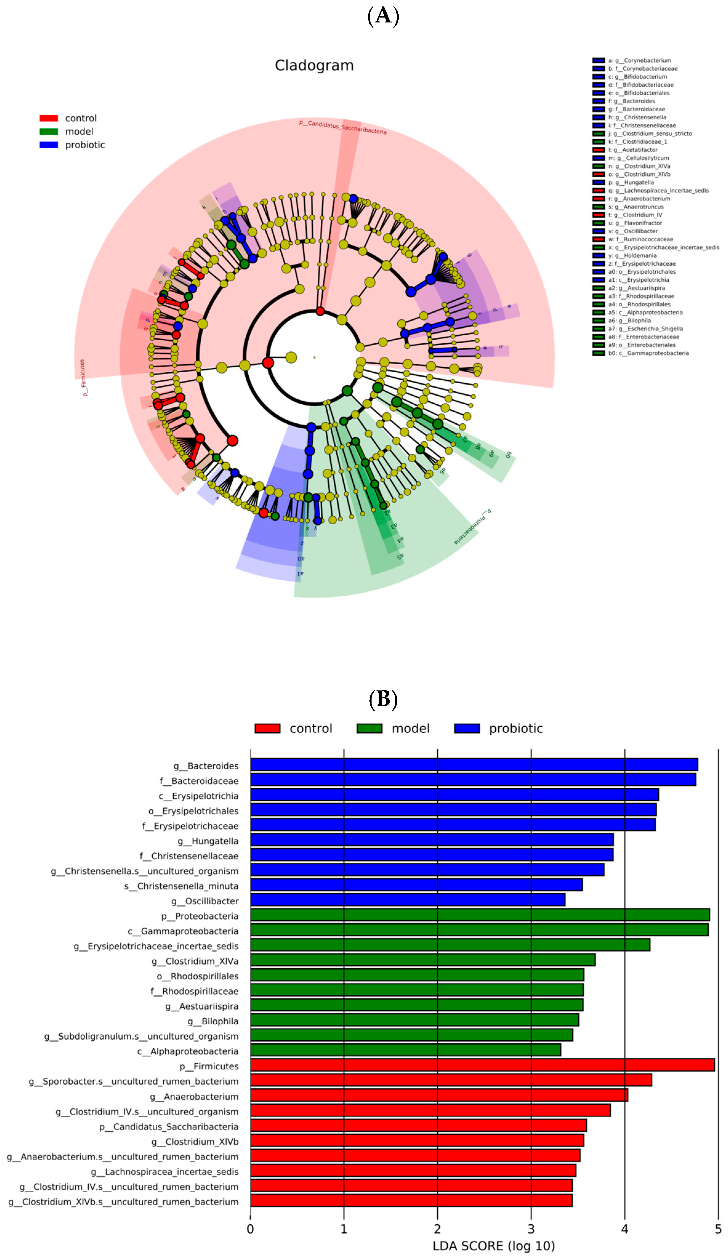 Biology 13 00327 g004