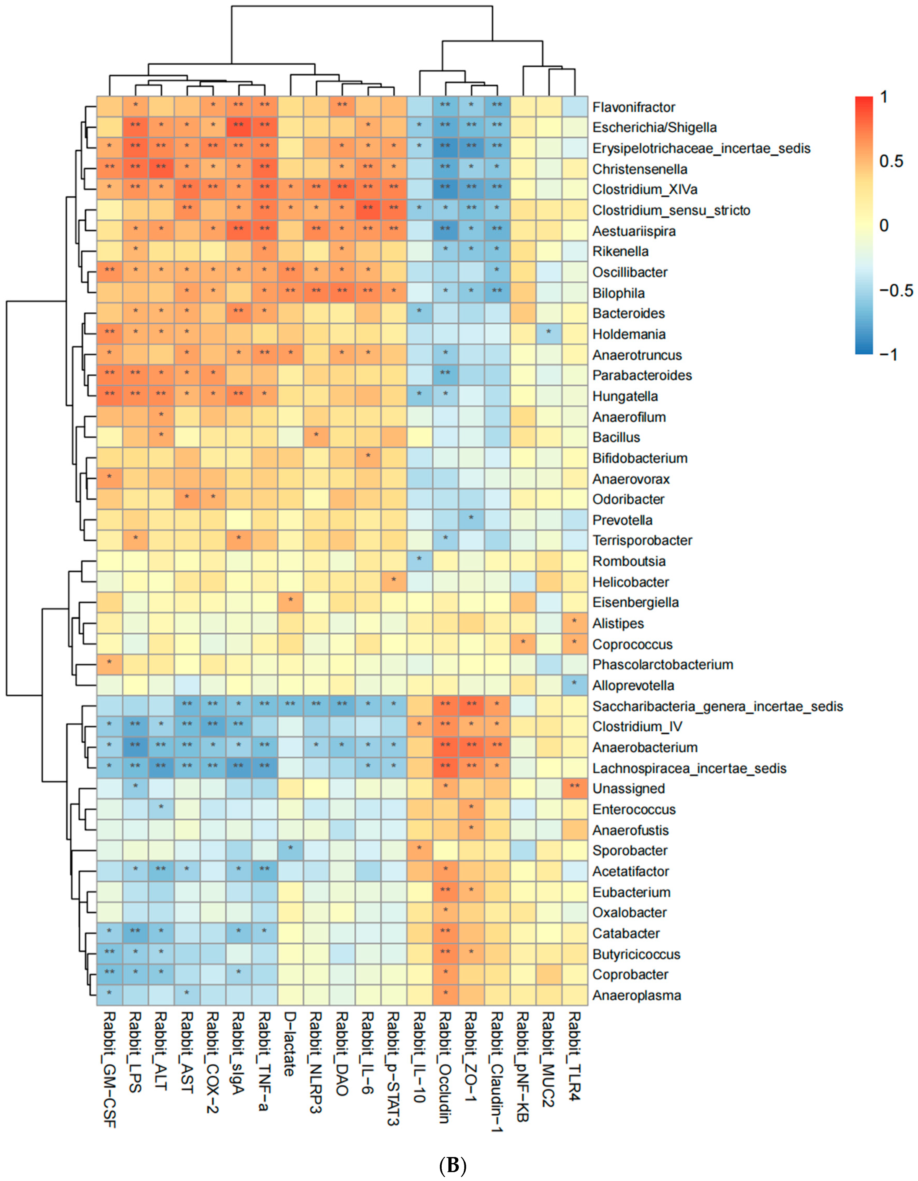 Biology 13 00327 g009b