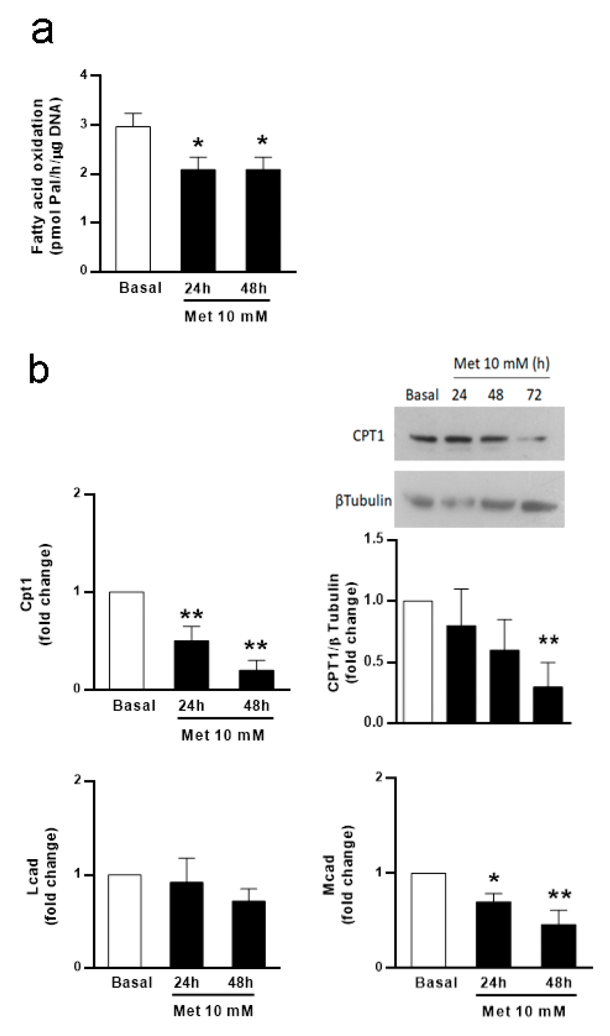 Biology 13 00330 g001 Biology 13 00330 g001