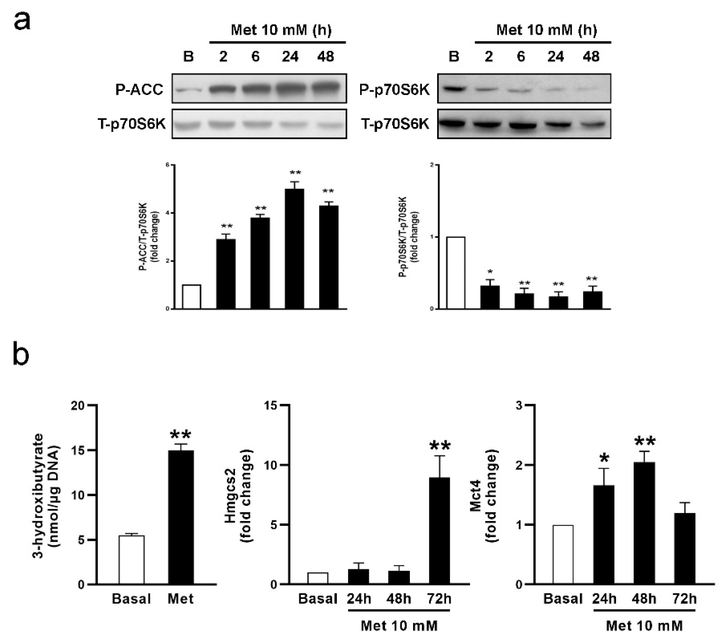 Biology 13 00330 g002 Biology 13 00330 g002