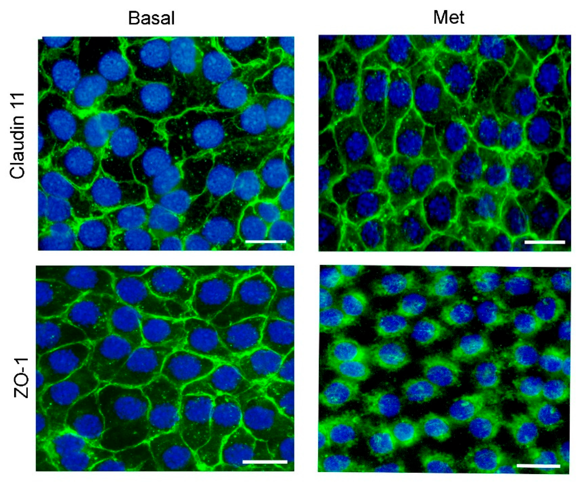 Biology 13 00330 g004 Biology 13 00330 g004