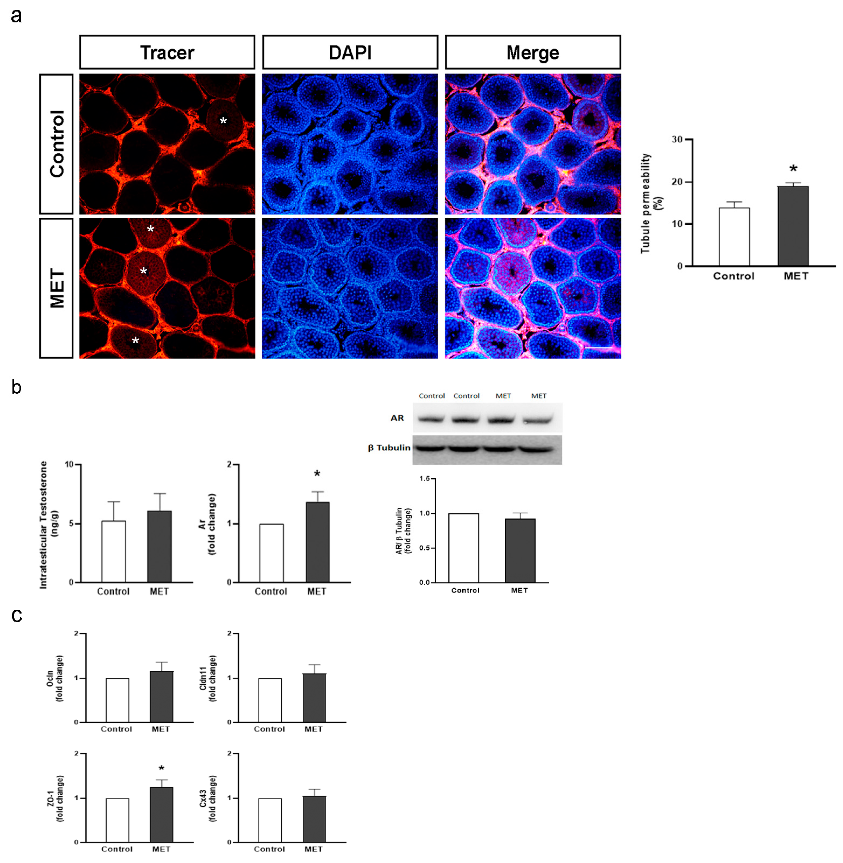 Biology 13 00330 g005 Biology 13 00330 g005