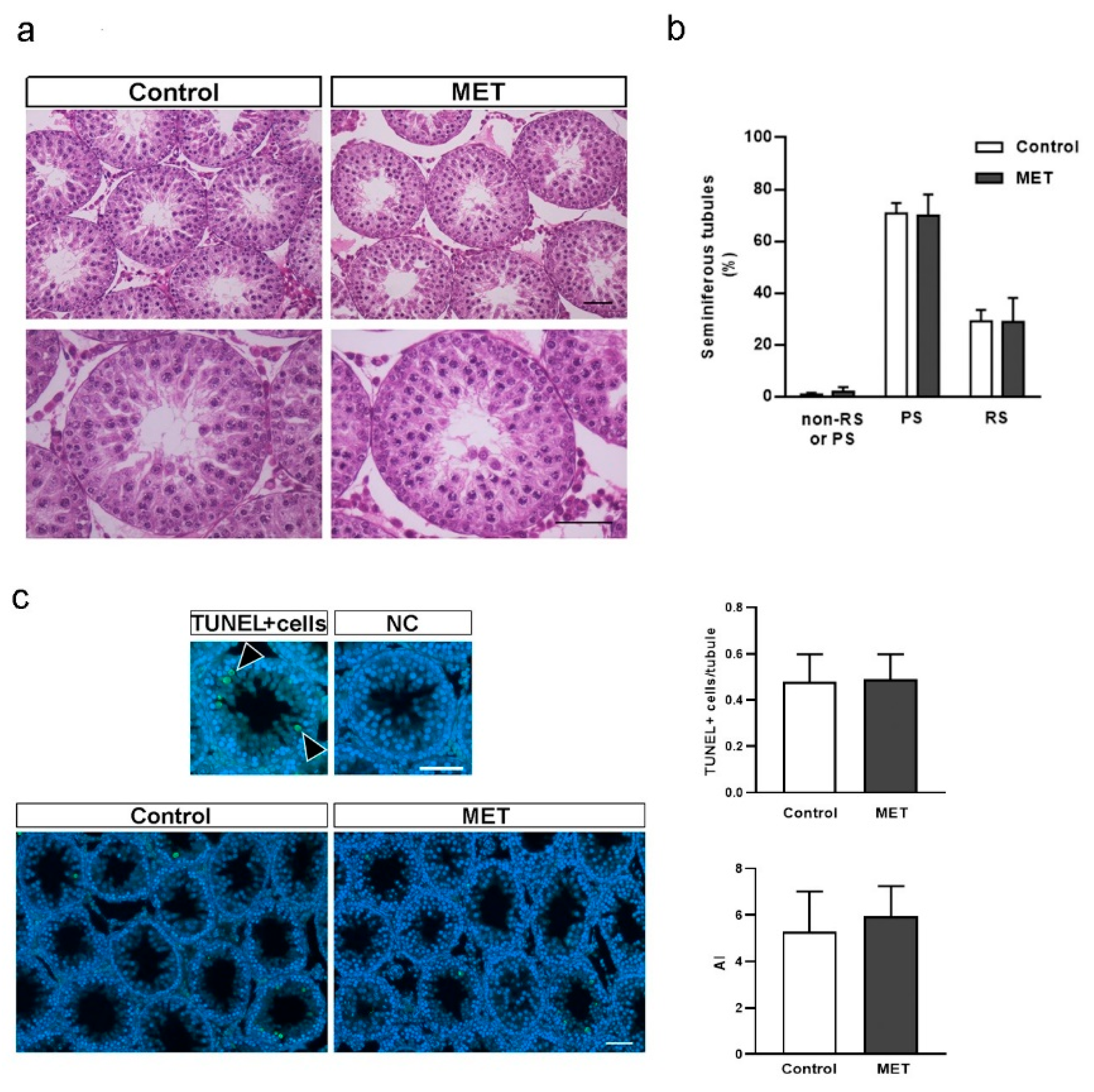 Biology 13 00330 g006 Biology 13 00330 g006