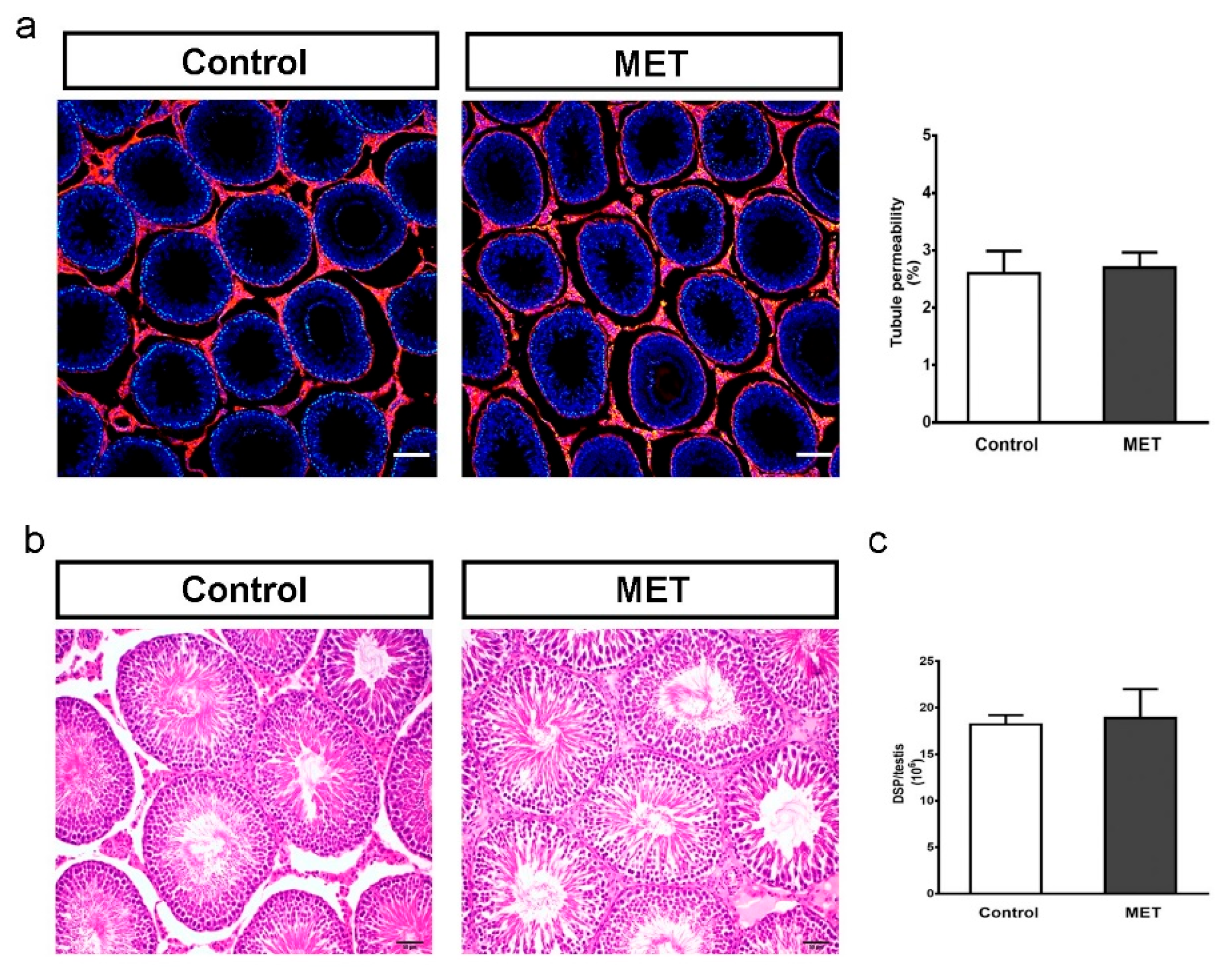 Biology 13 00330 g007 Biology 13 00330 g007