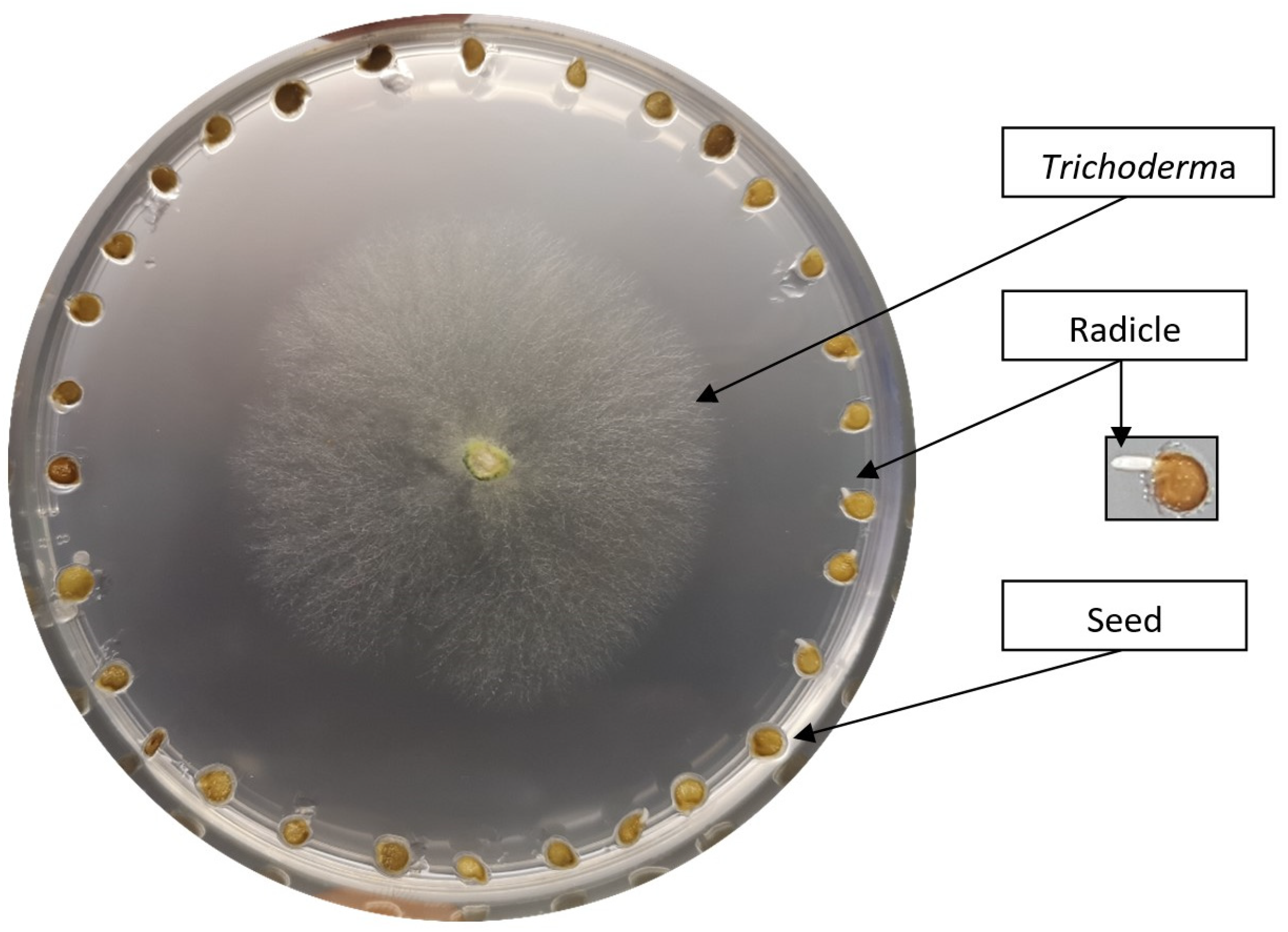 Biology 13 00340 g001