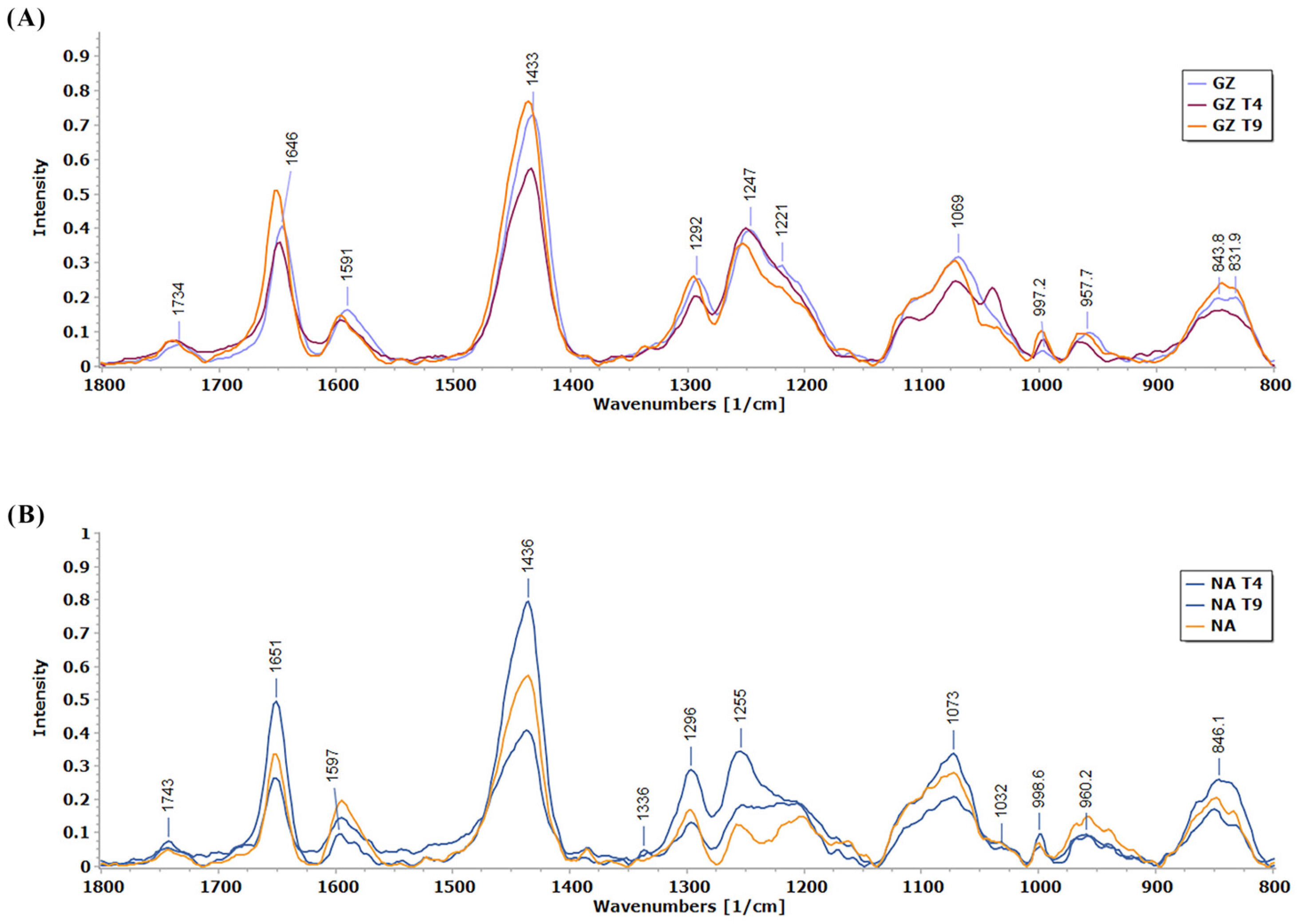 Biology 13 00340 g004