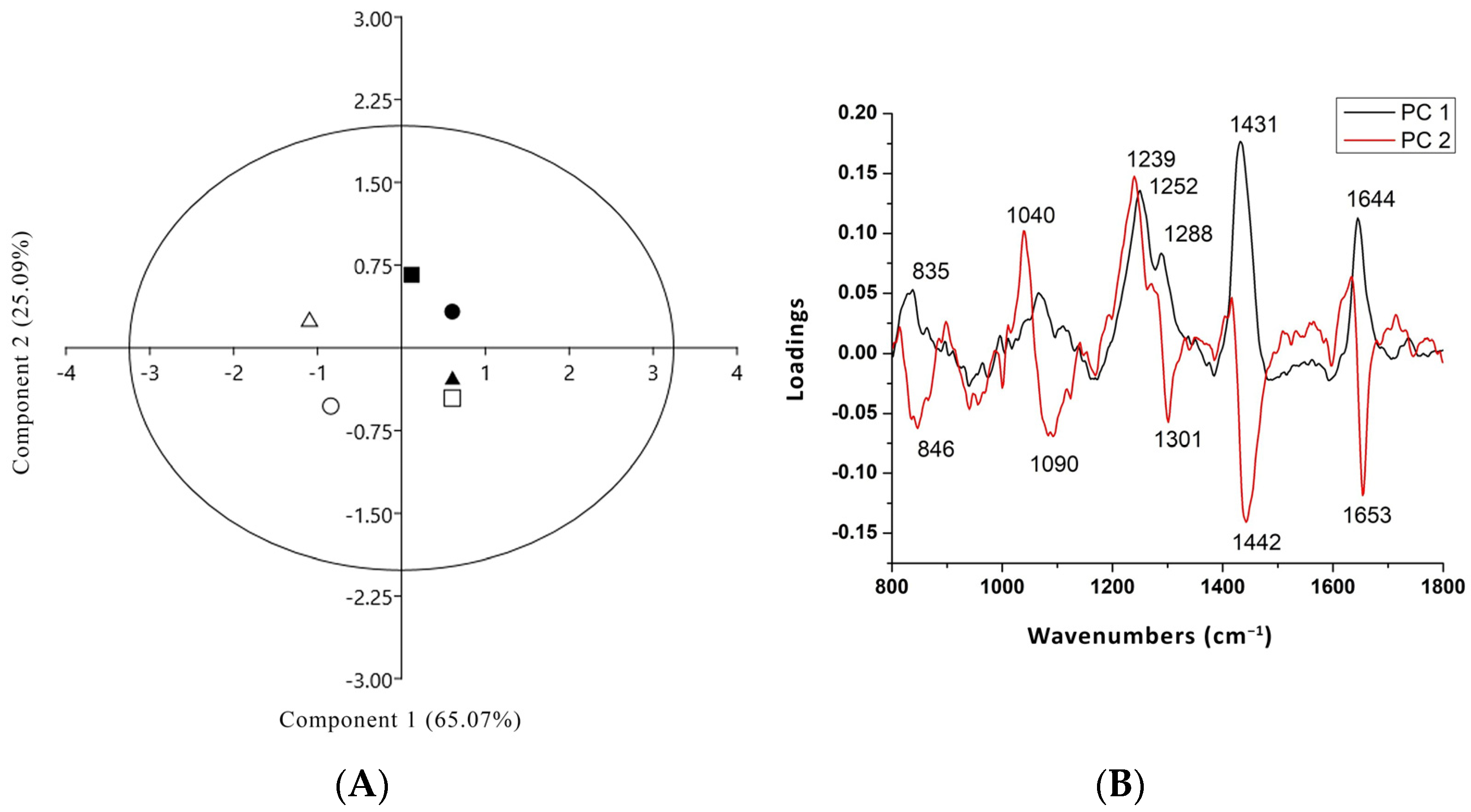 Biology 13 00340 g005