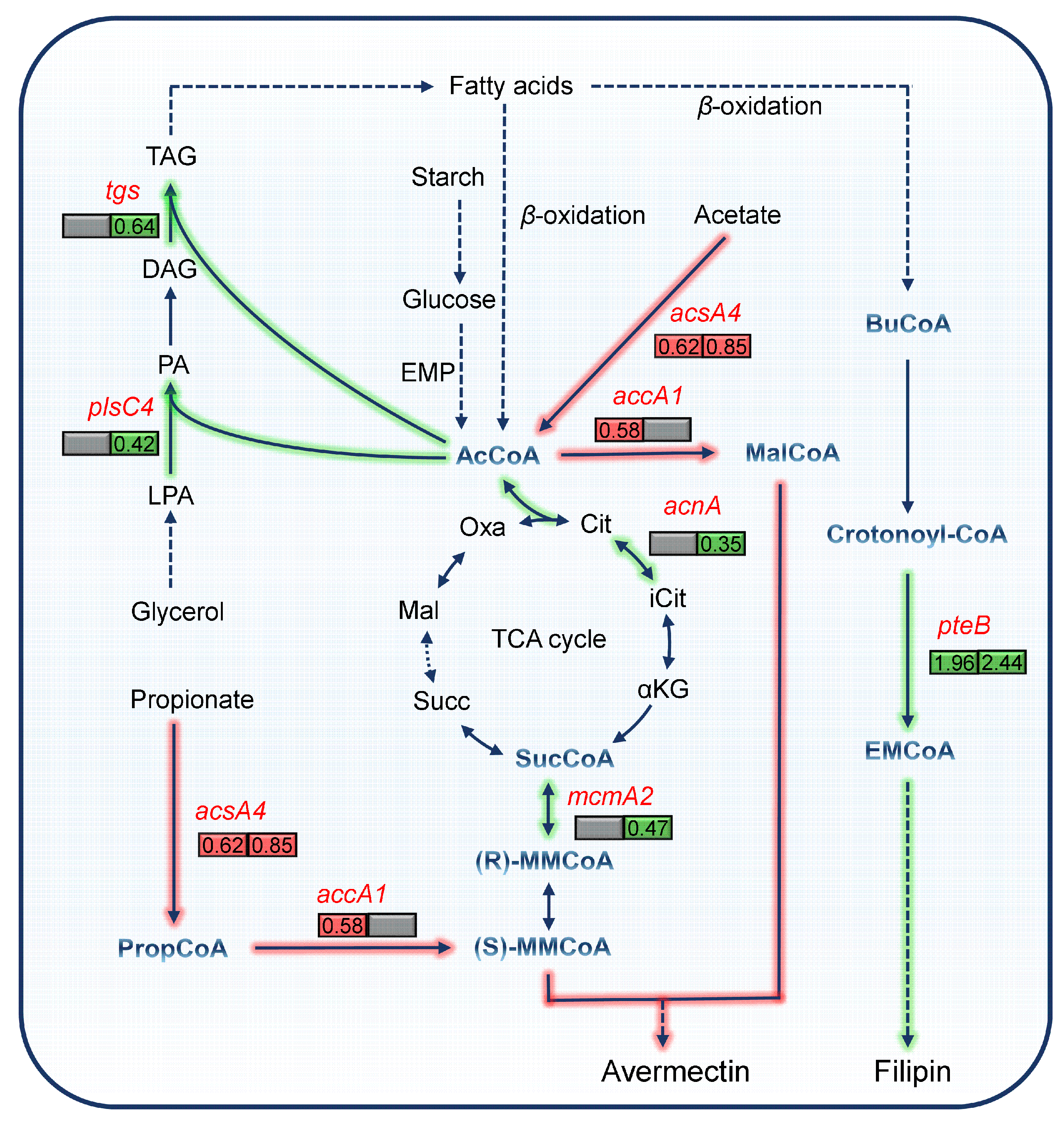 Biology 13 00344 g005 Biology 13 00344 g005