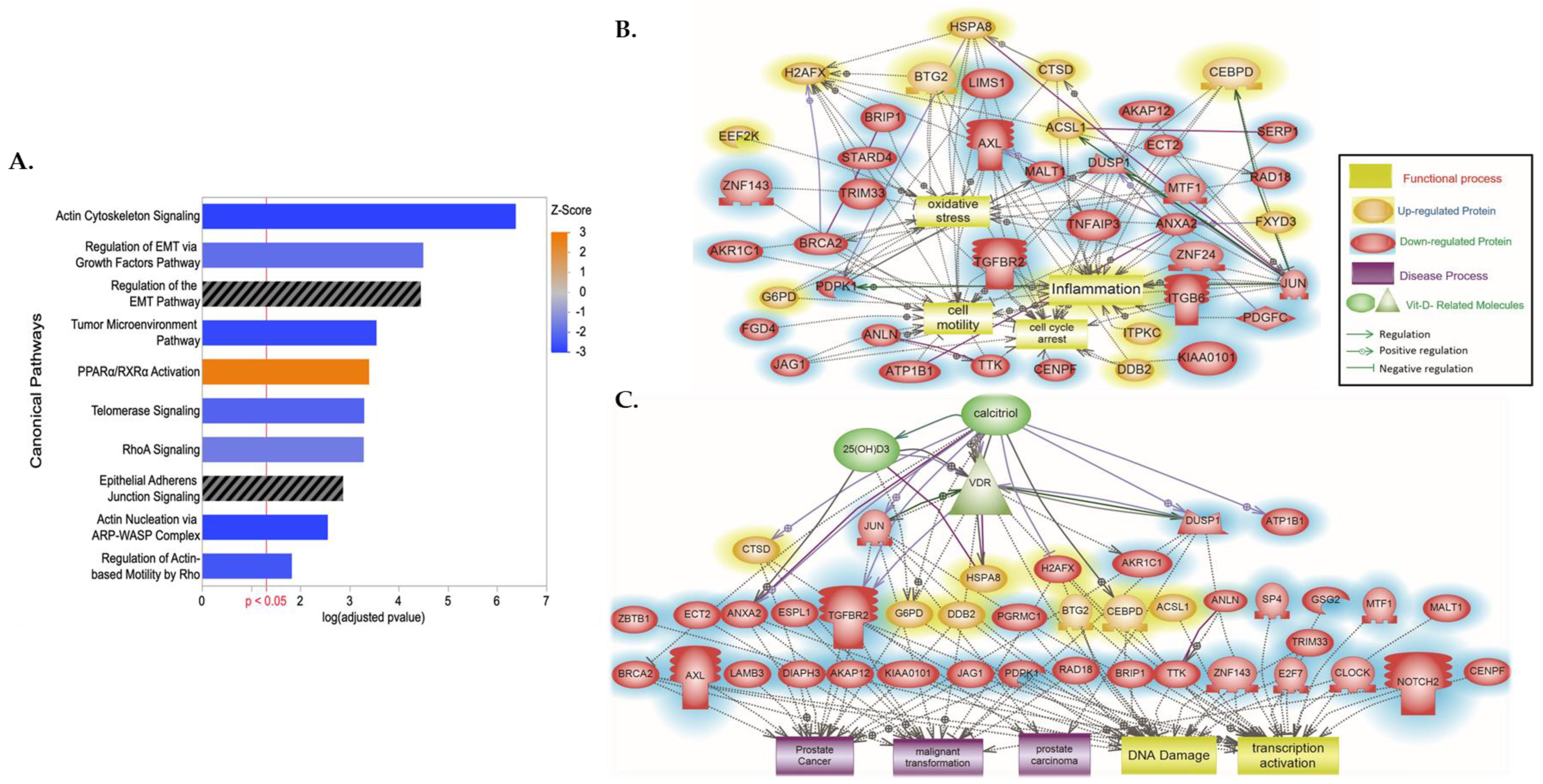 Biology 13 00346 g001 Biology 13 00346 g001